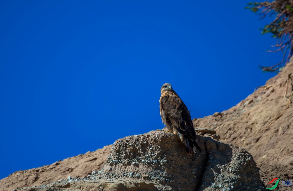 _DSC4291.jpg