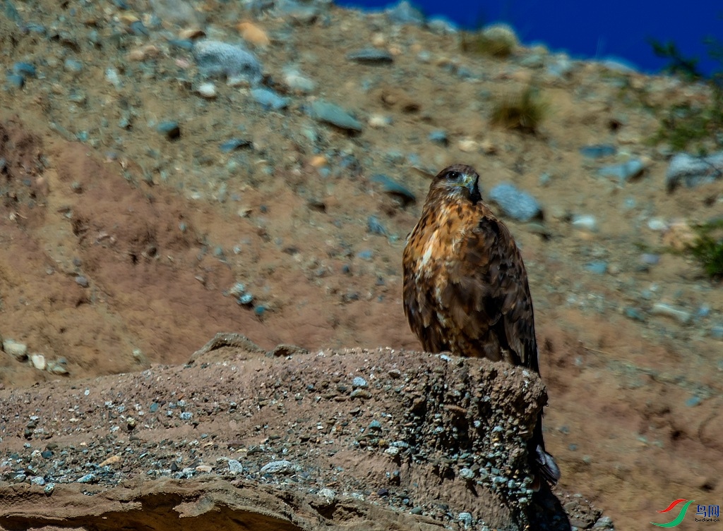 _DSC4338.jpg