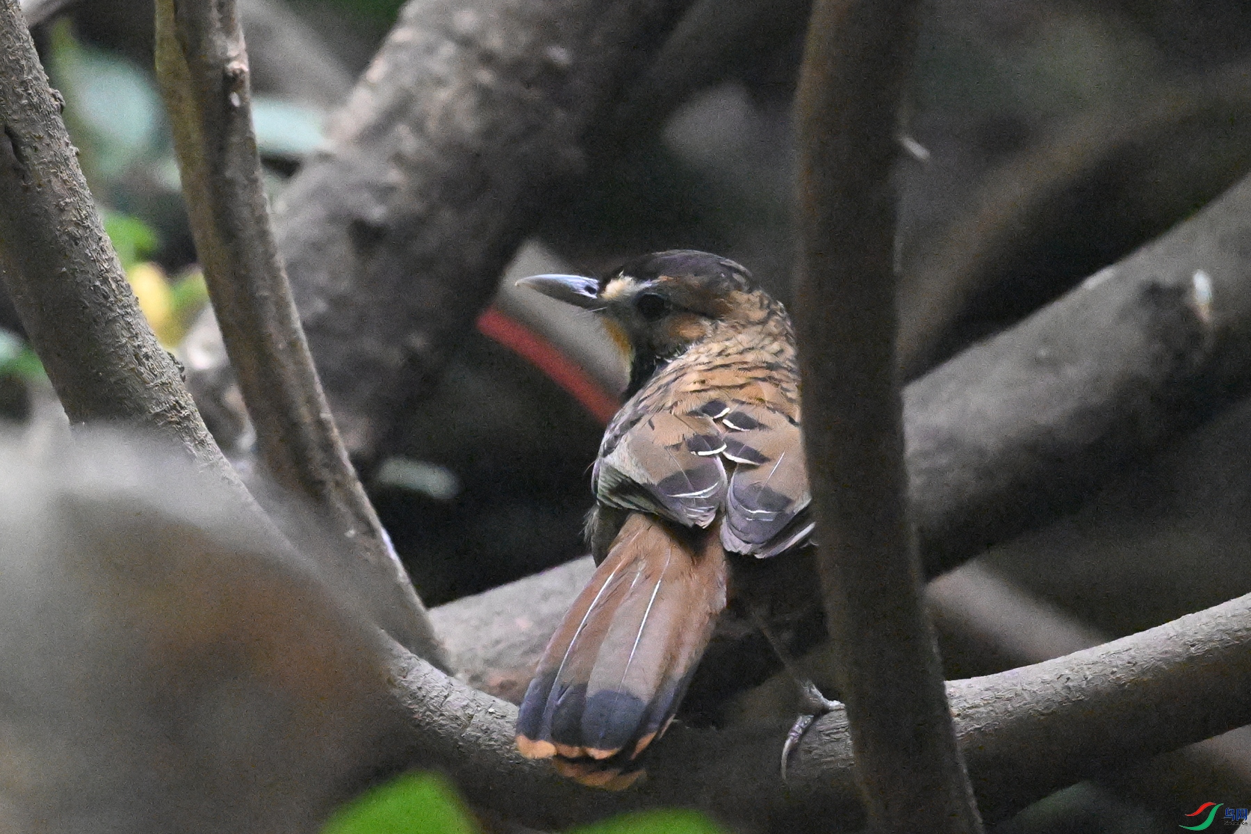 DSC_6421.JPG