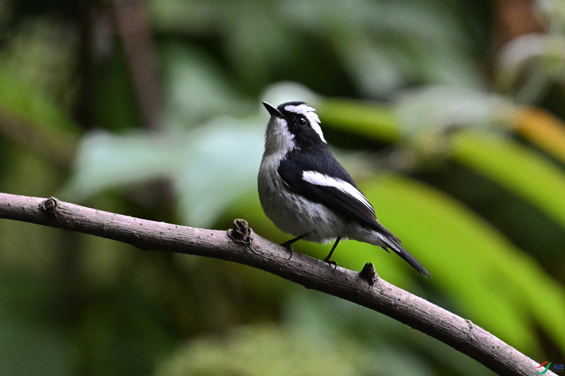 DSC_6433.JPG