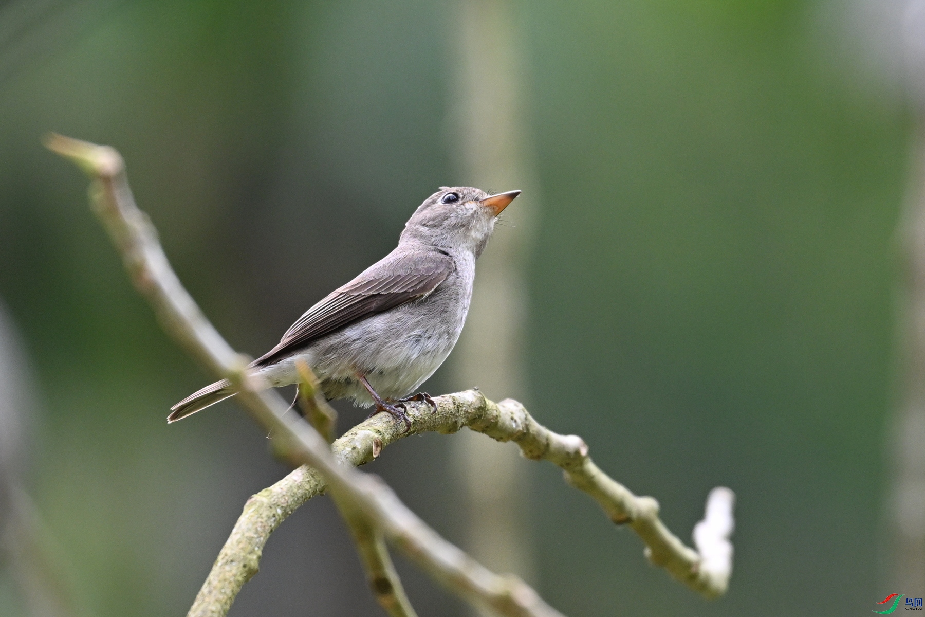 DSC_6469.JPG