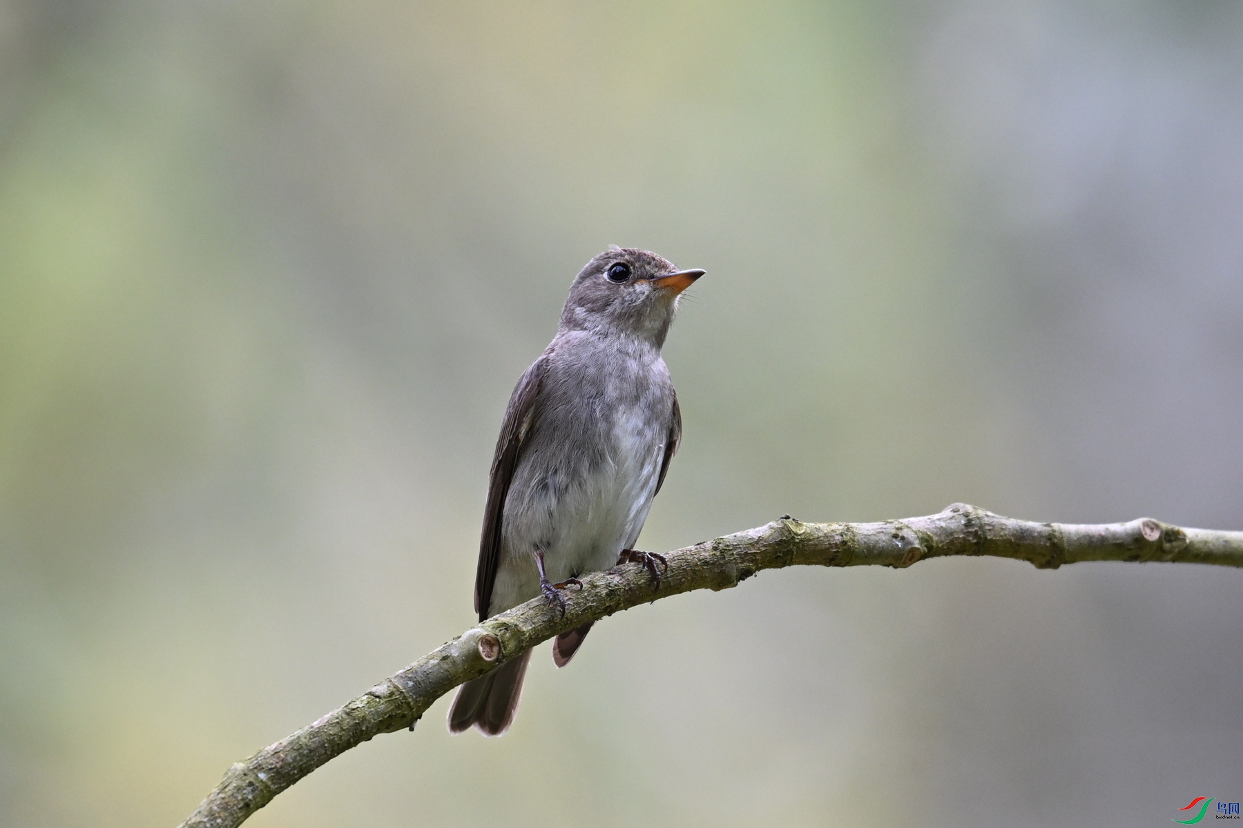 DSC_6473.JPG