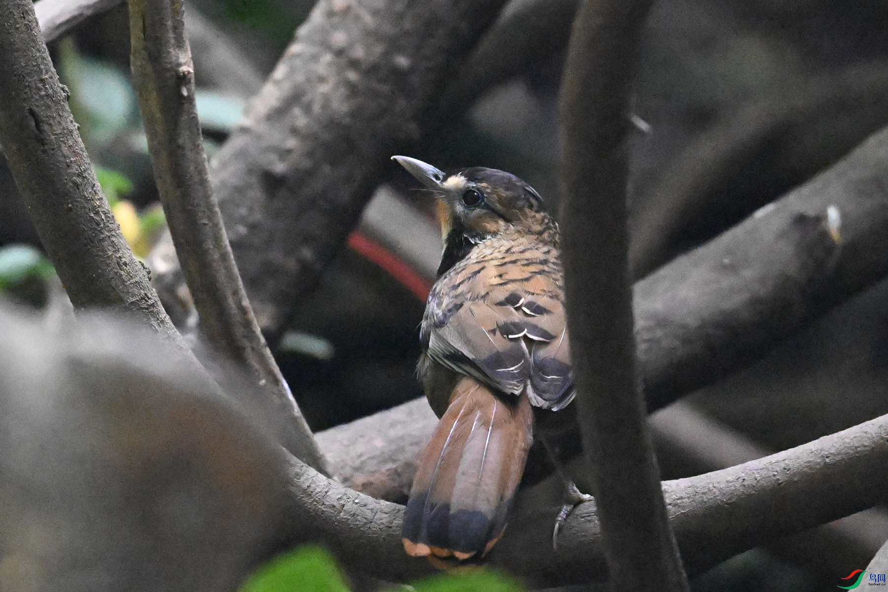 DSC_6422.JPG