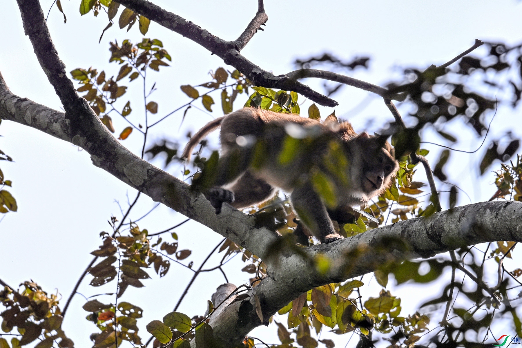 DSC_6480.JPG