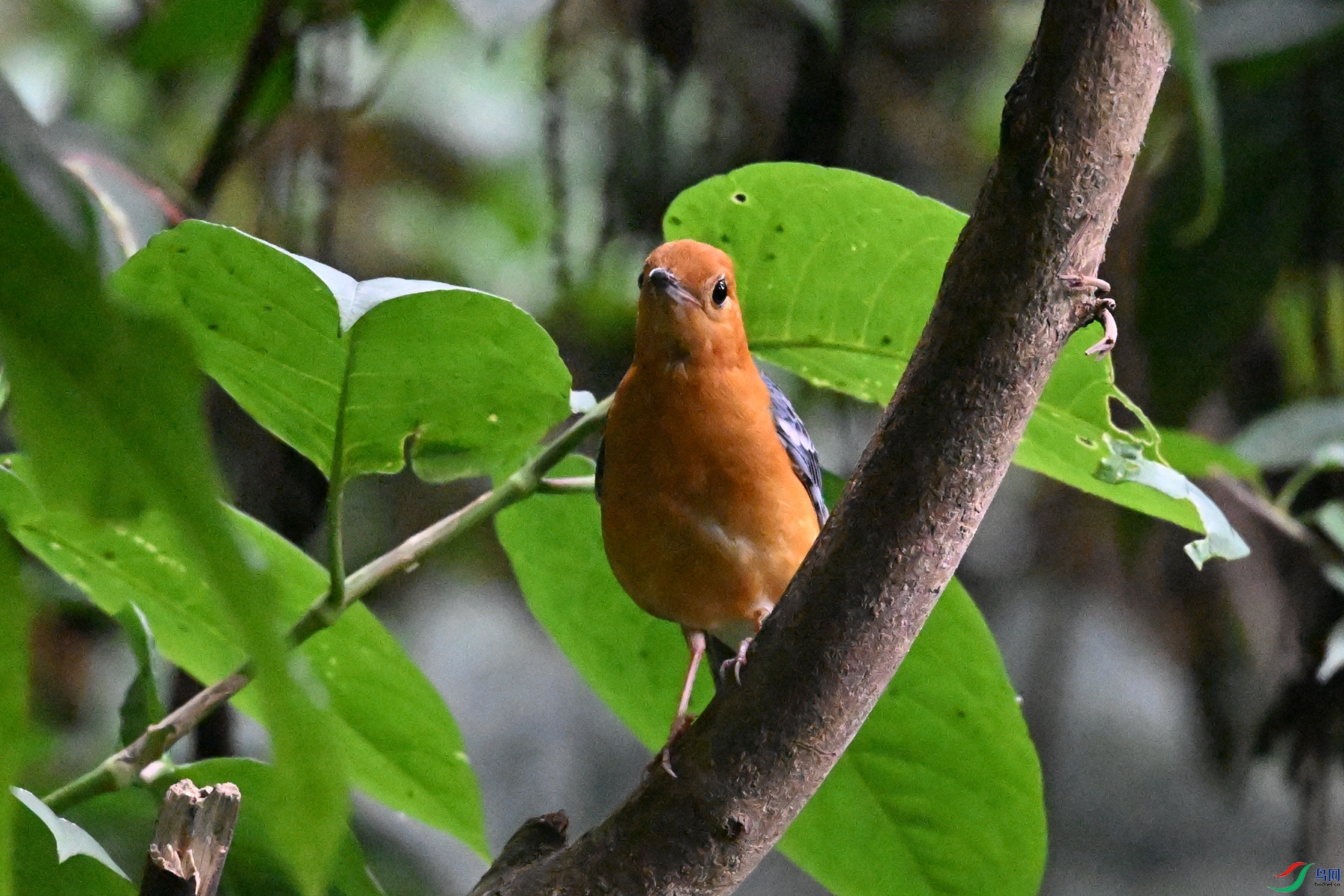 DSC_6438.JPG