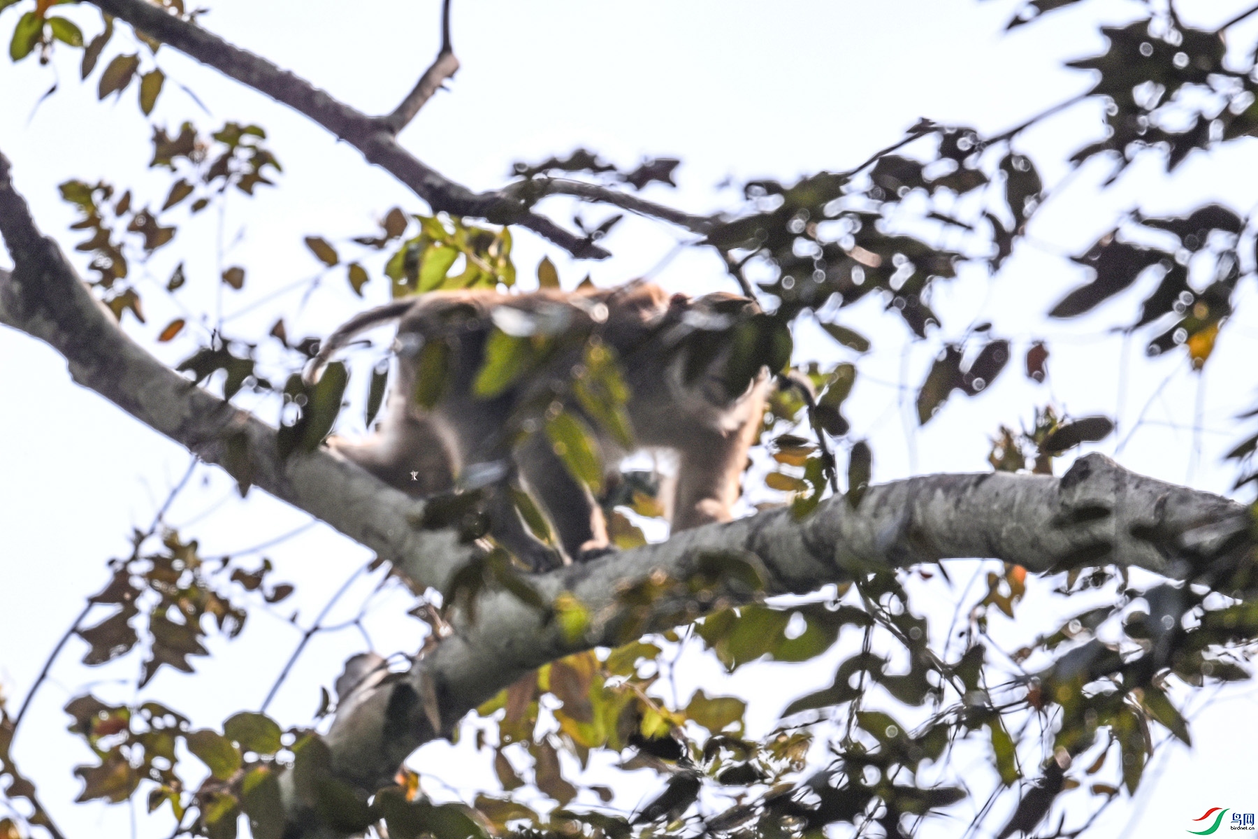 DSC_6483.JPG