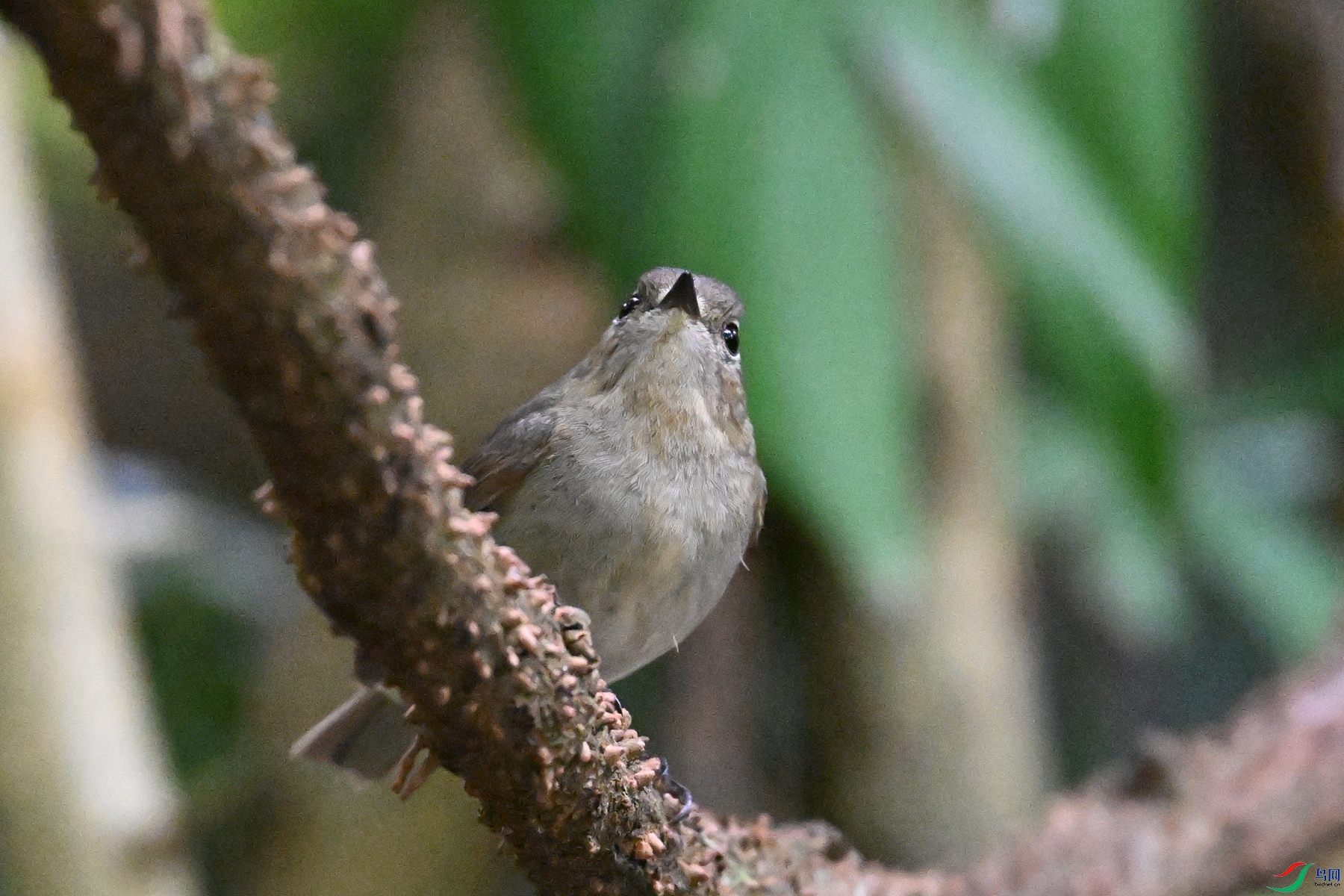 DSC_6441.JPG