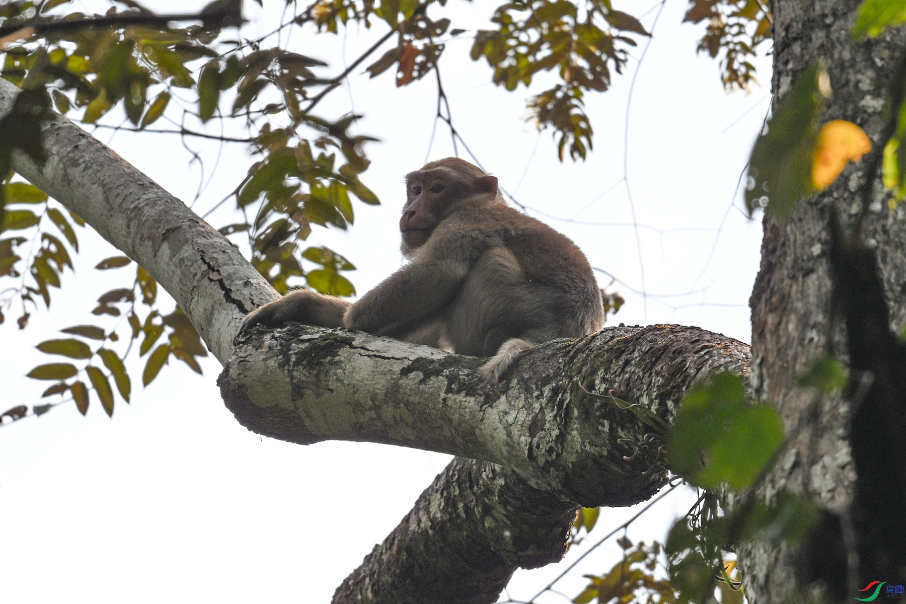 DSC_6487.JPG
