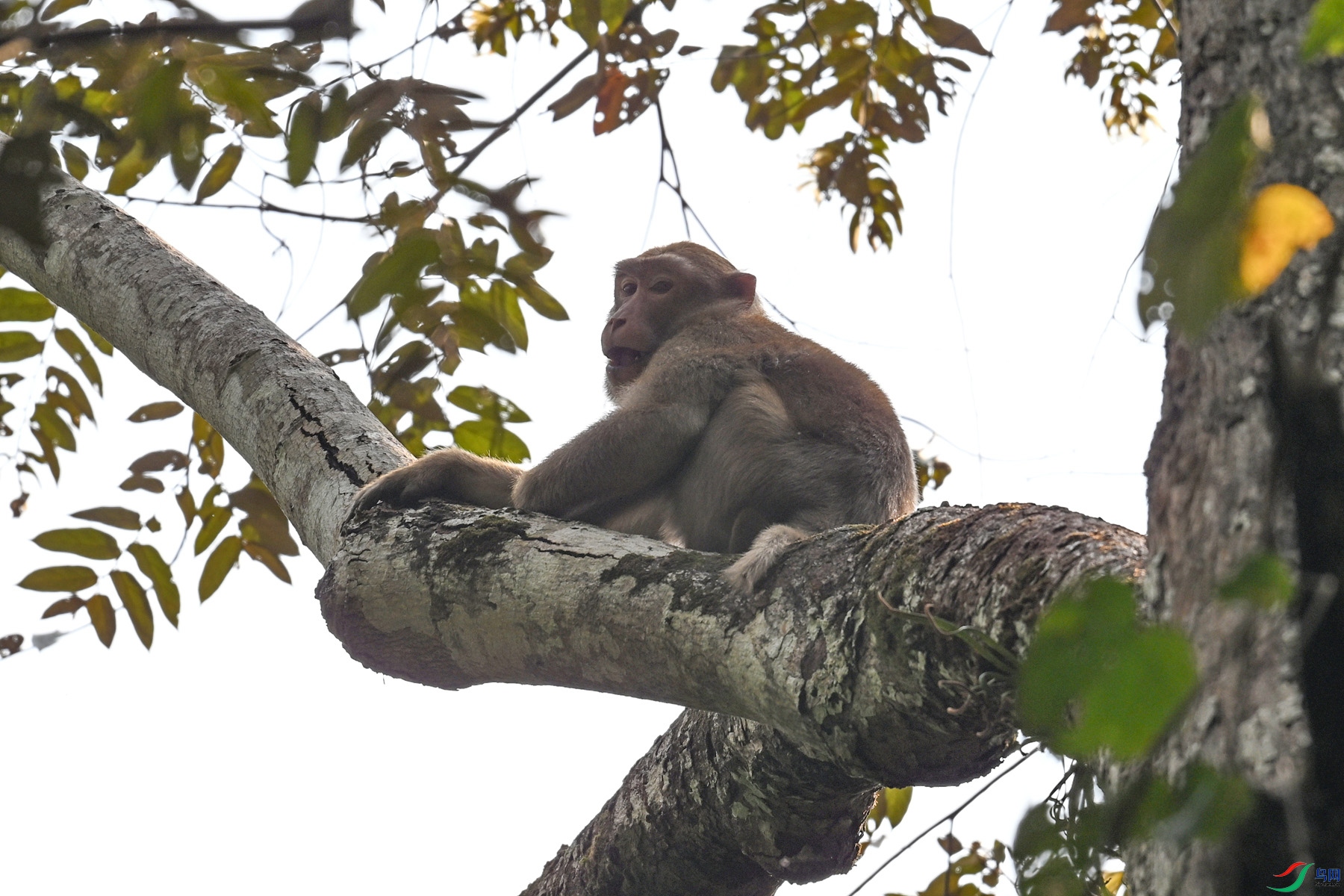 DSC_6489.JPG