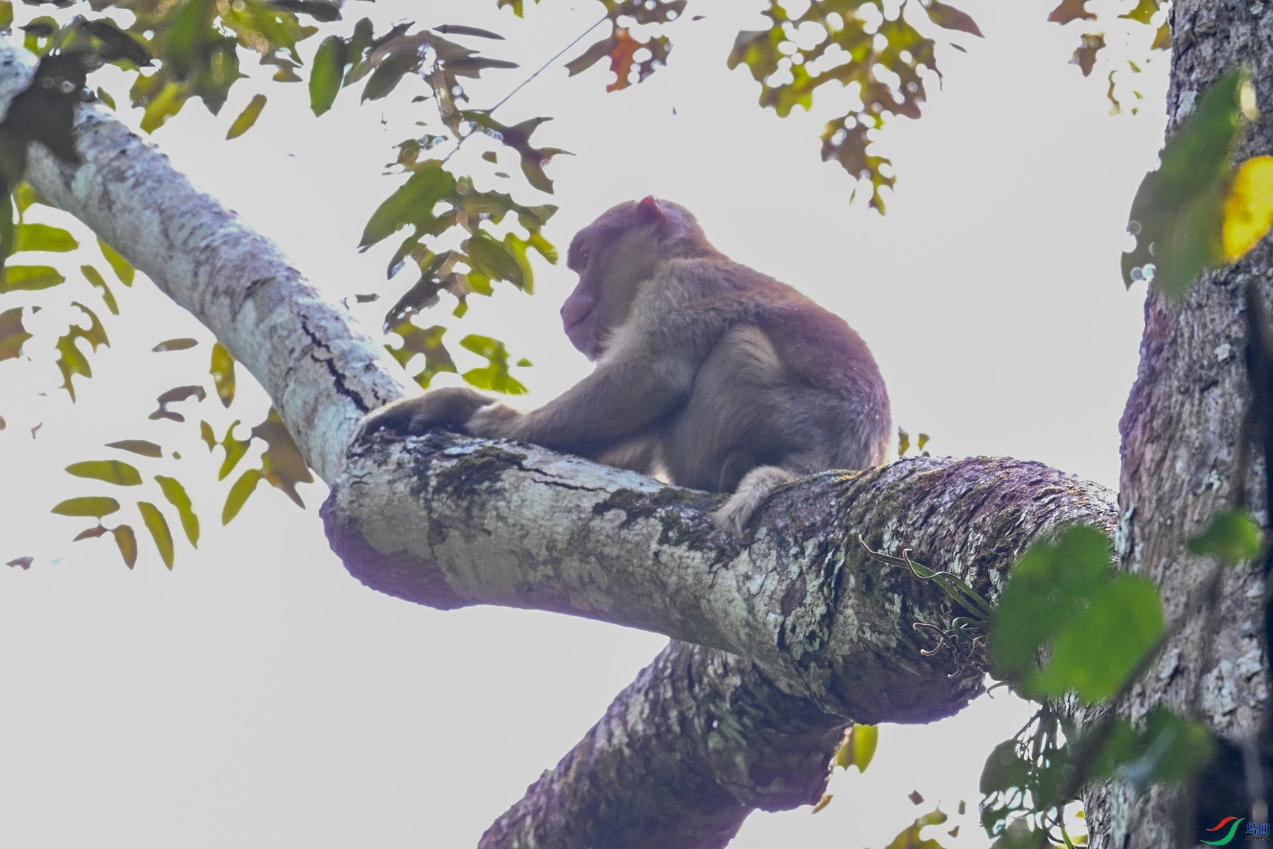 DSC_6491.JPG
