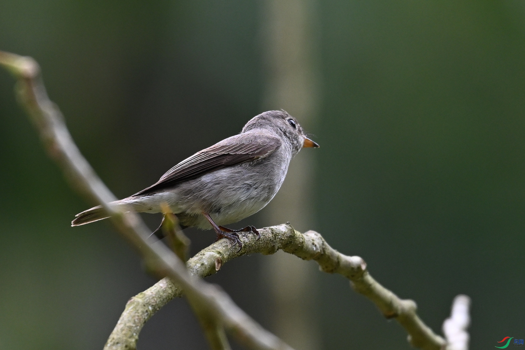 DSC_6467.JPG