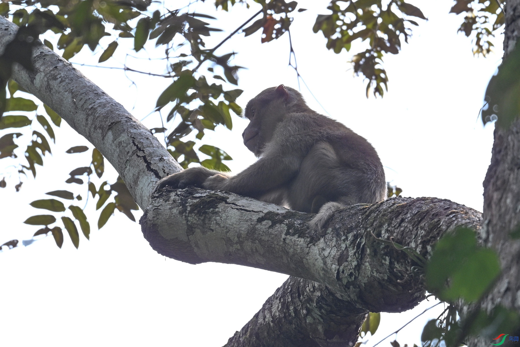 DSC_6495.JPG