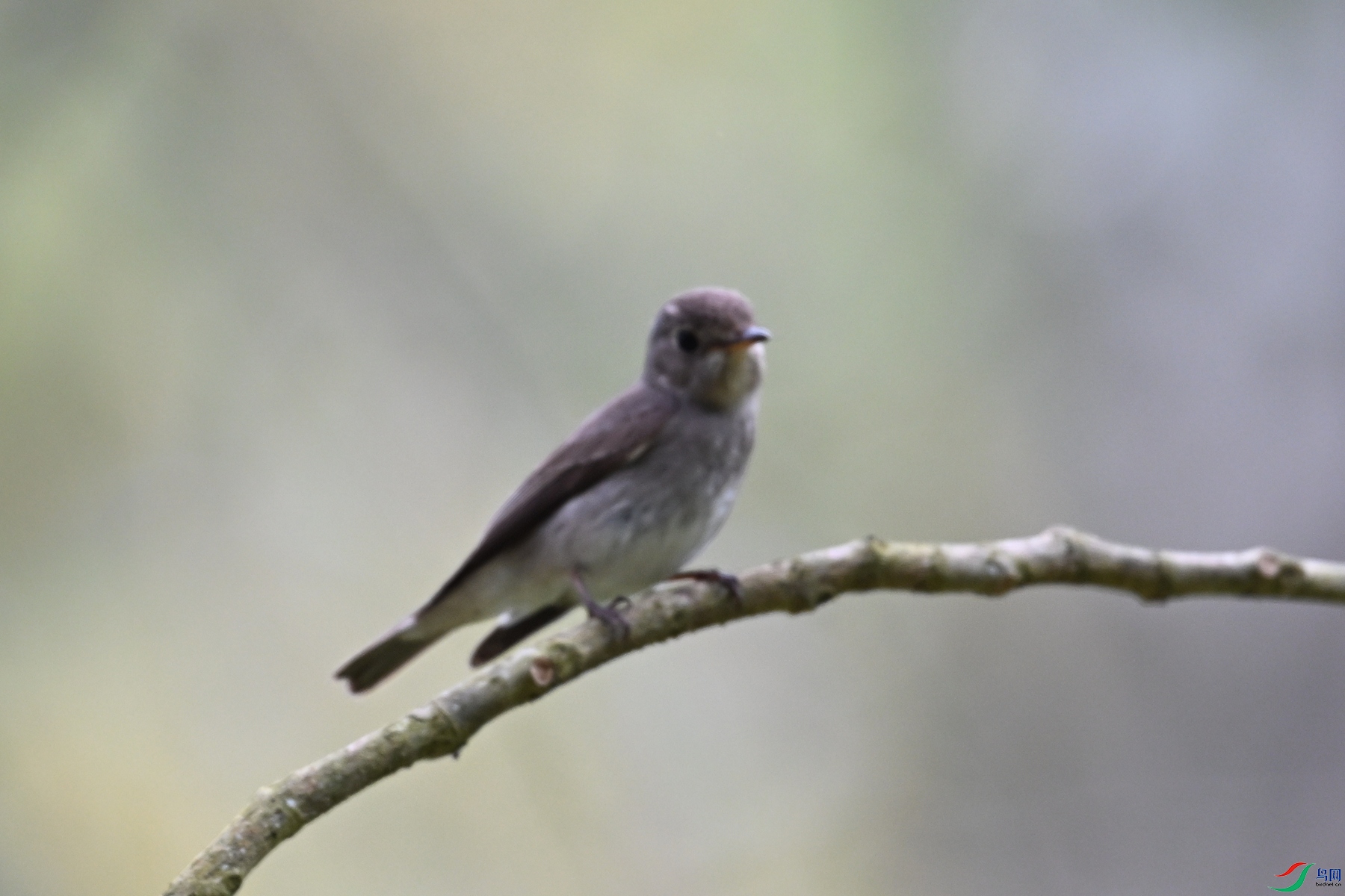 DSC_6474.JPG