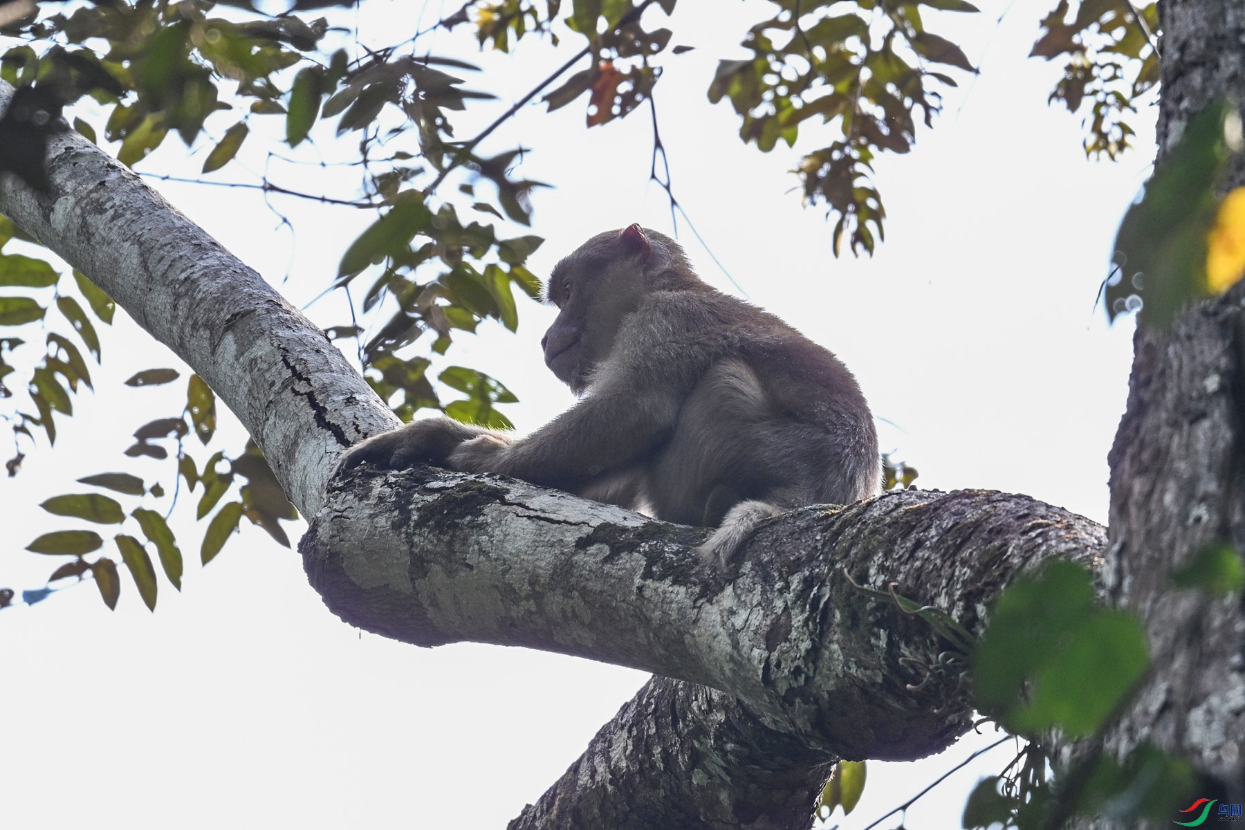 DSC_6497.JPG
