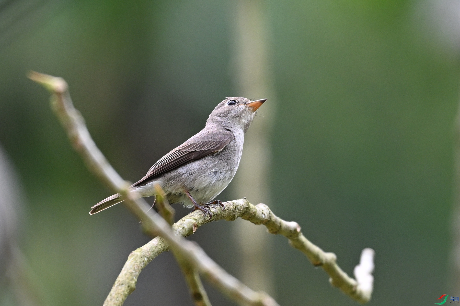 DSC_6470.JPG