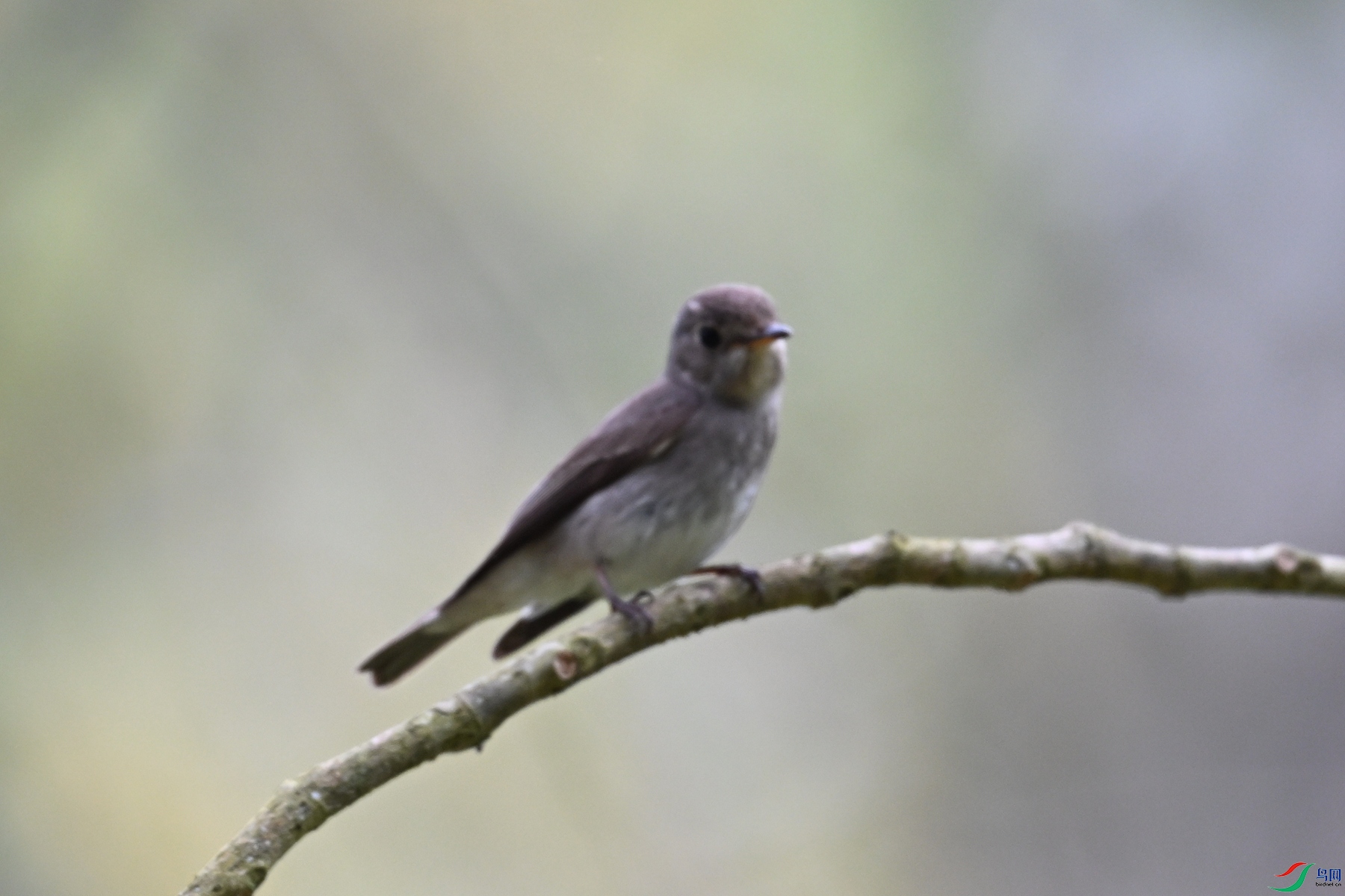 DSC_6475.JPG