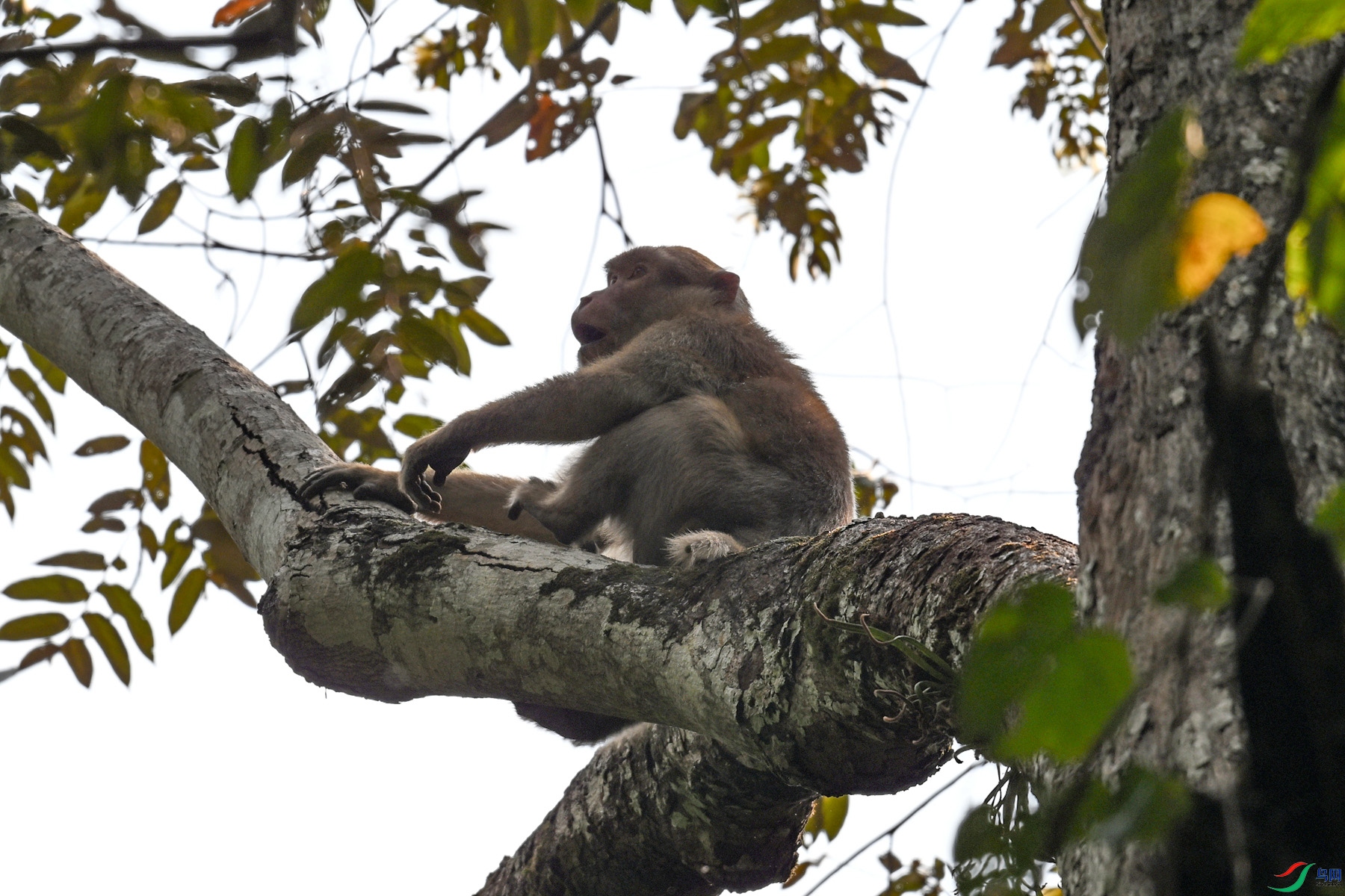 DSC_6484.JPG