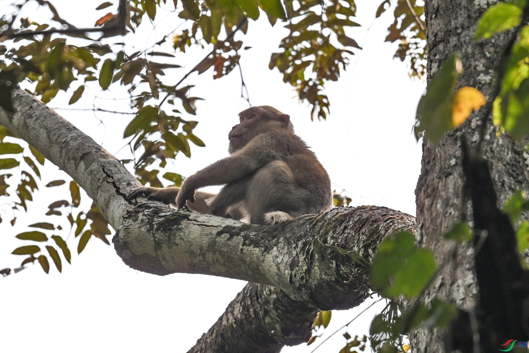 DSC_6486.JPG