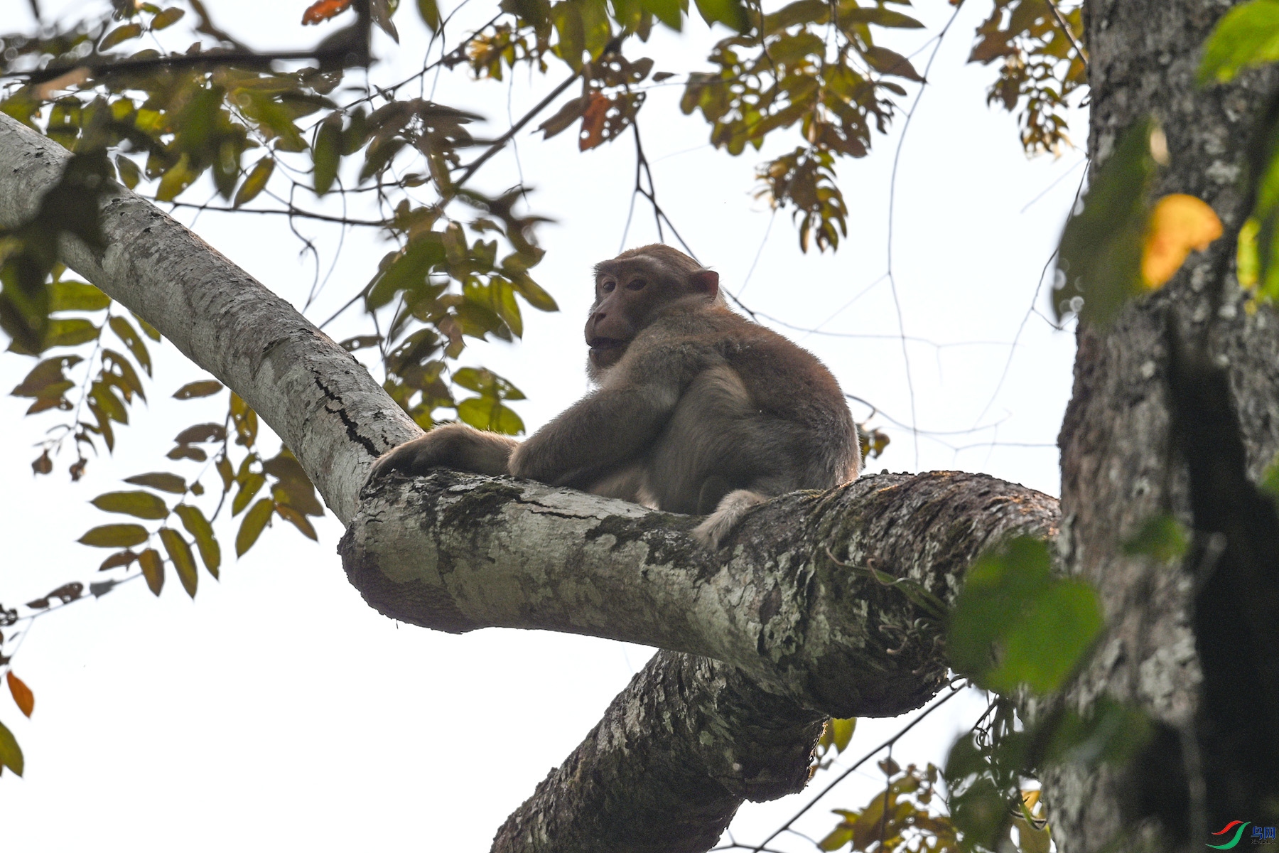 DSC_6488.JPG