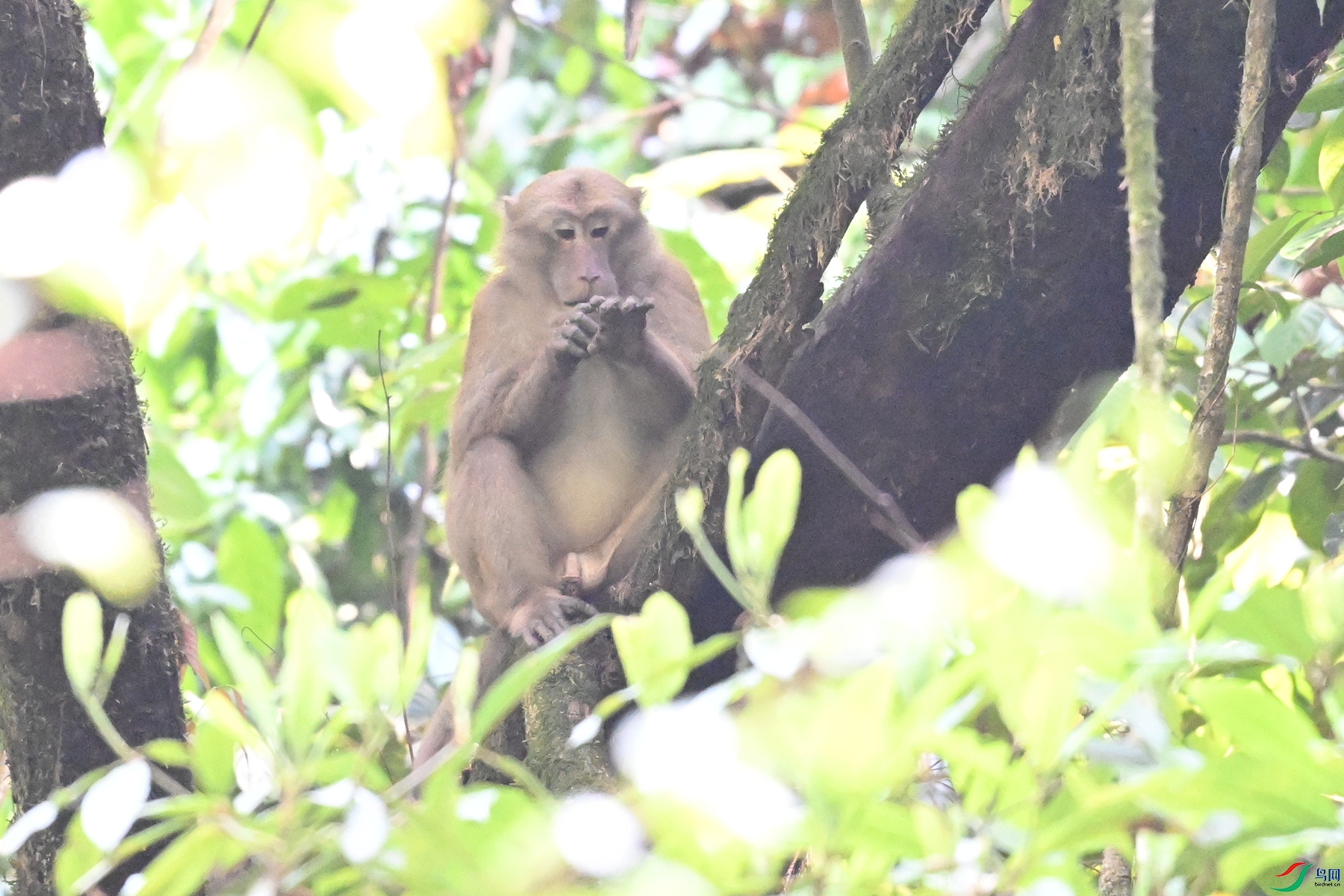 DSC_6553.JPG