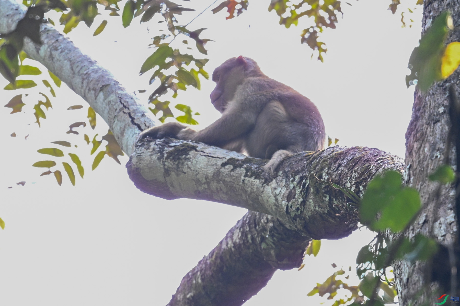DSC_6492.JPG