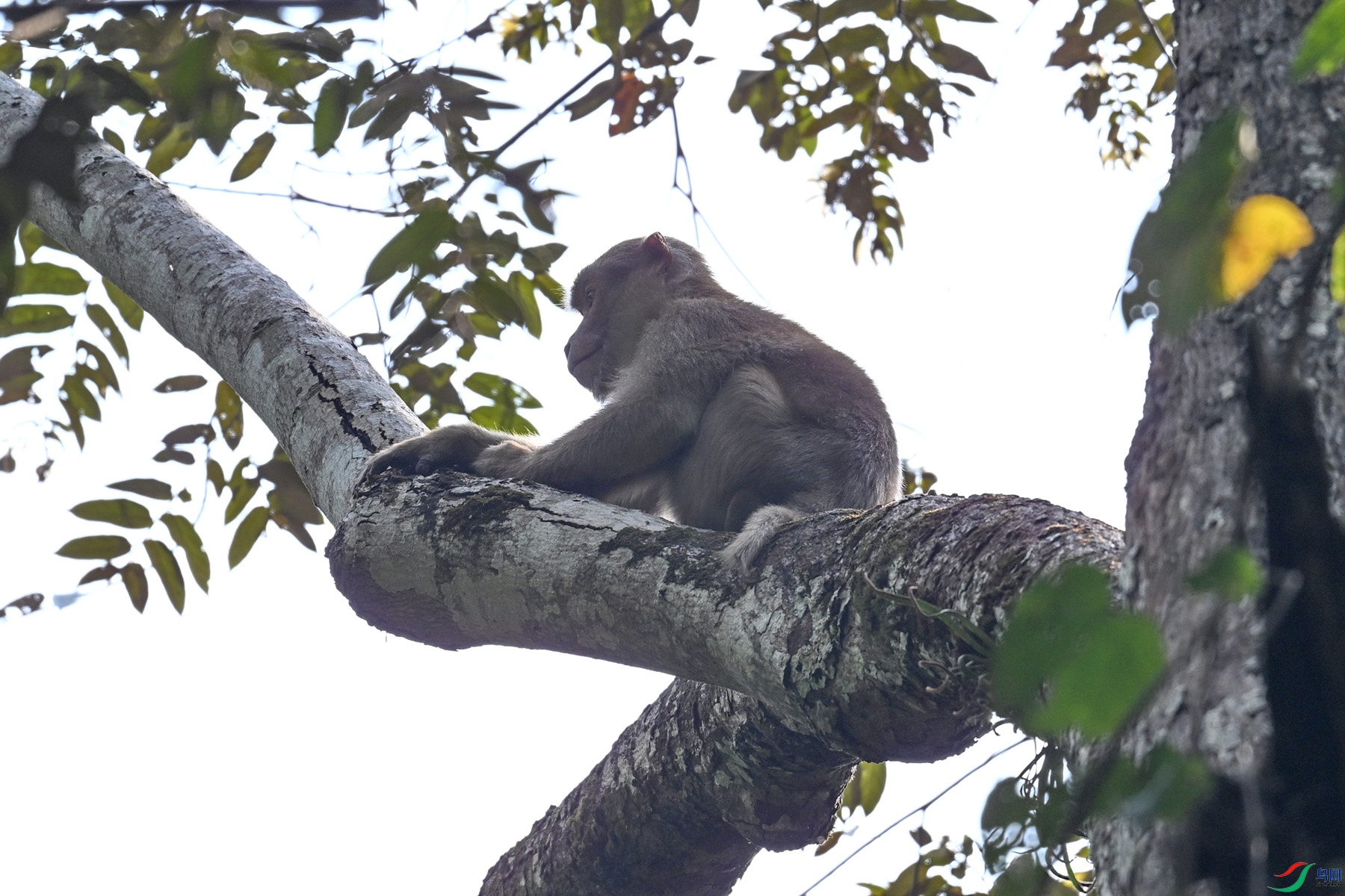 DSC_6494.JPG