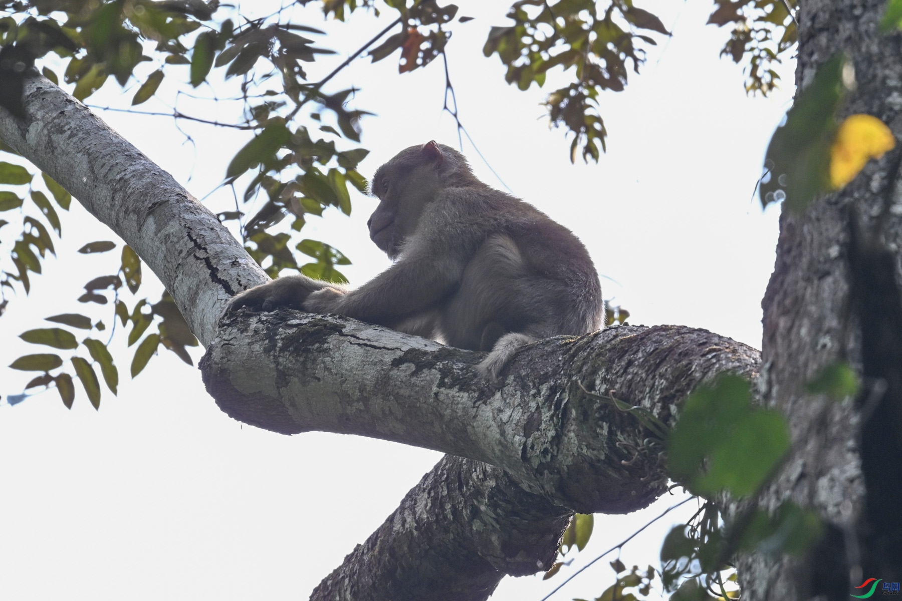 DSC_6496.JPG