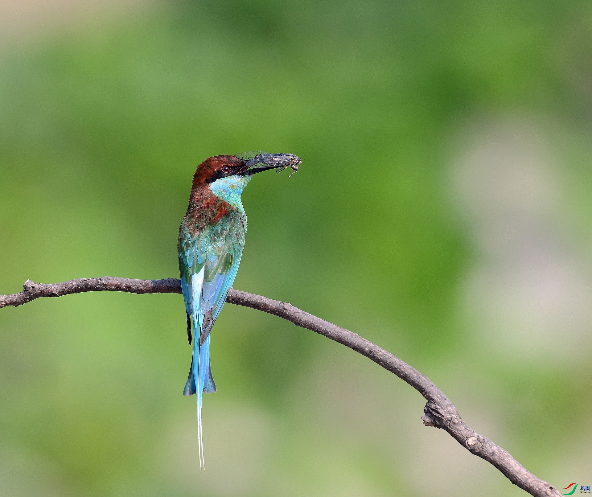 DSC_0499.jpg