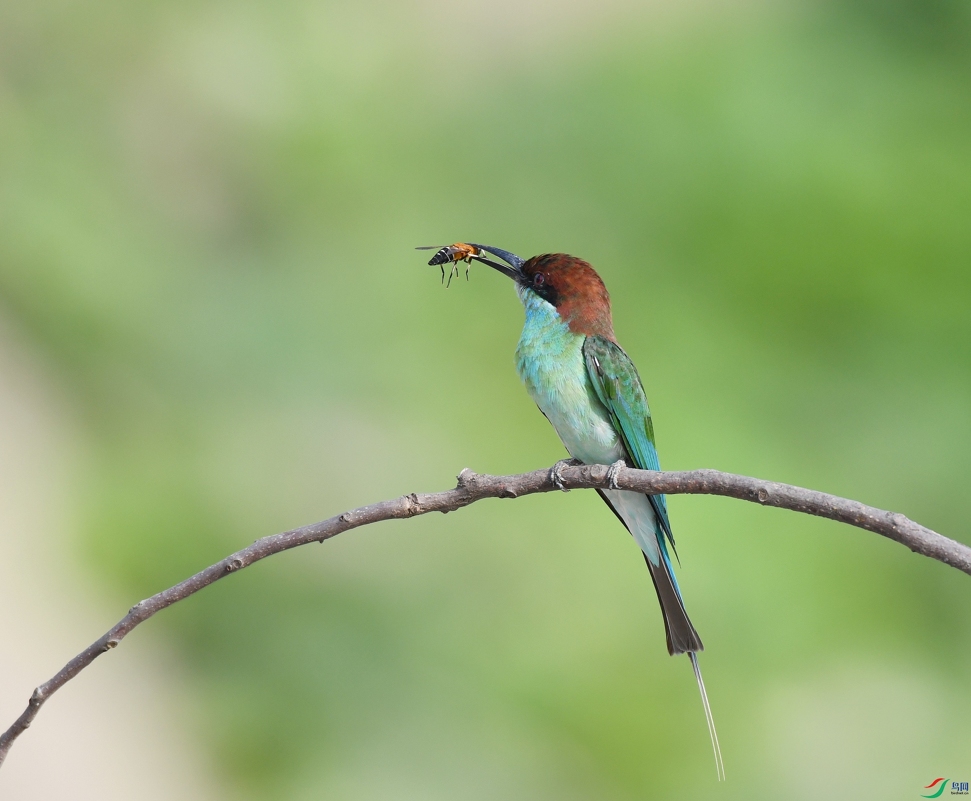 DSC_0356.jpg