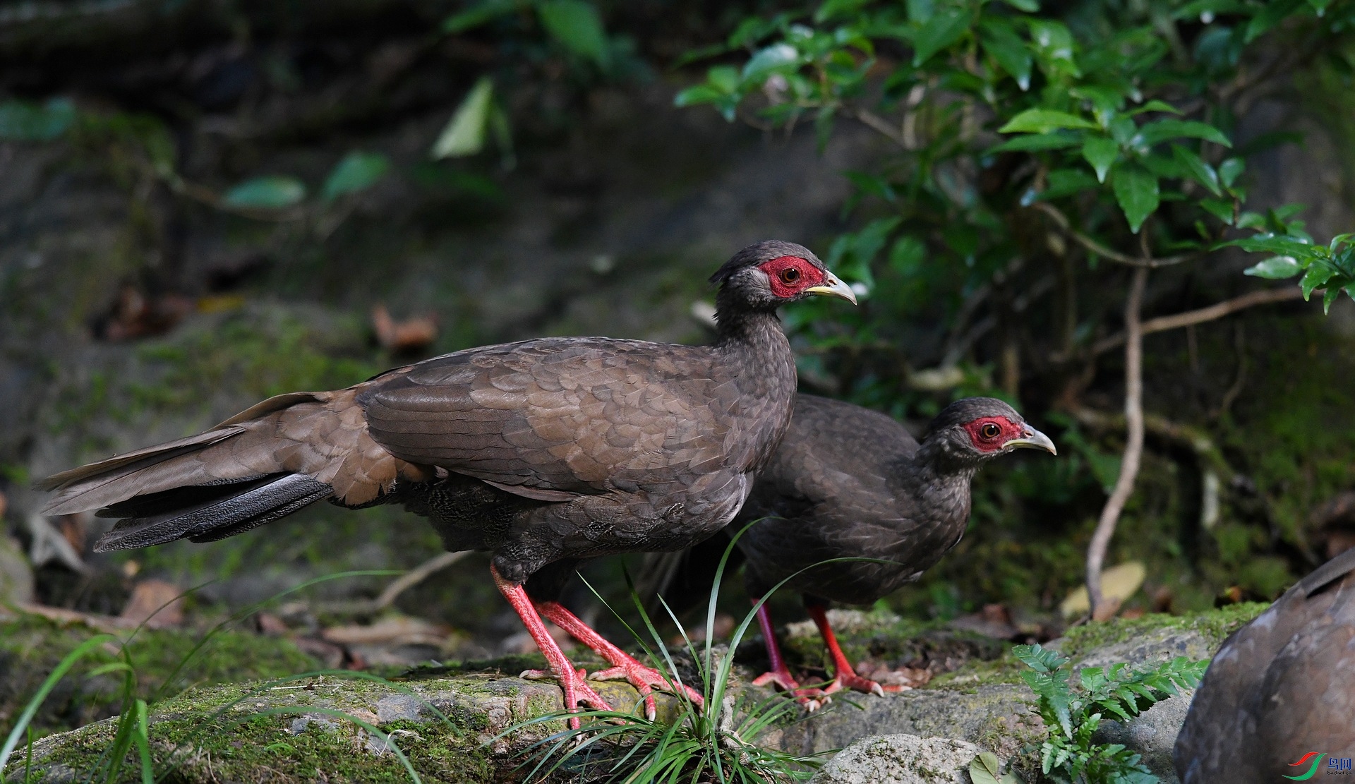 DSC_2136.jpg
