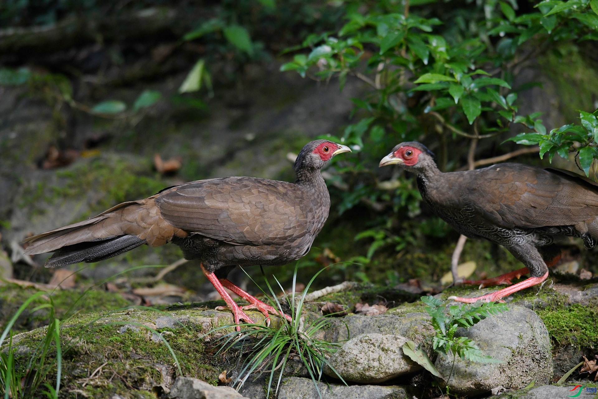 DSC_2120.jpg