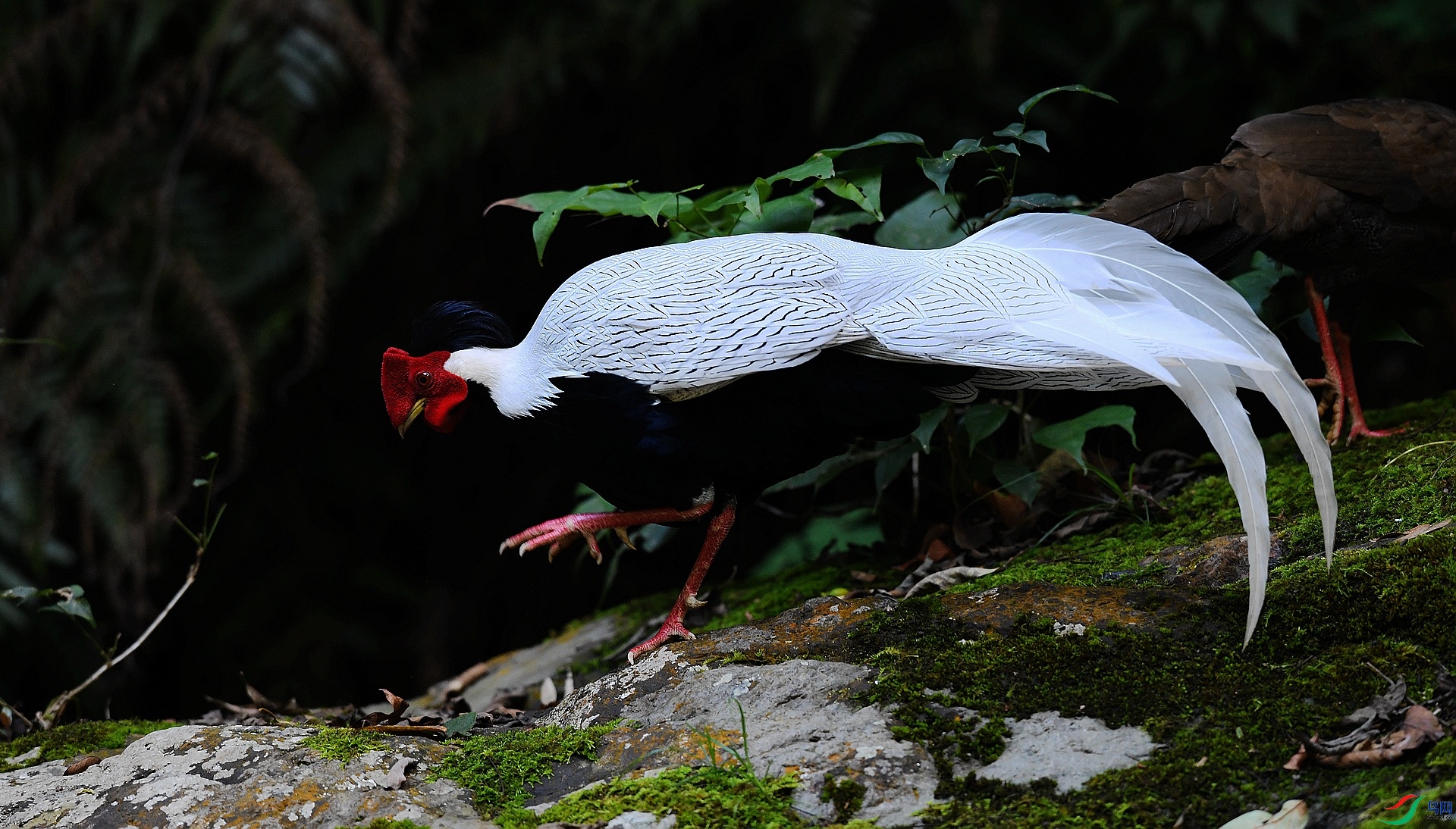 DSC_9375.jpg