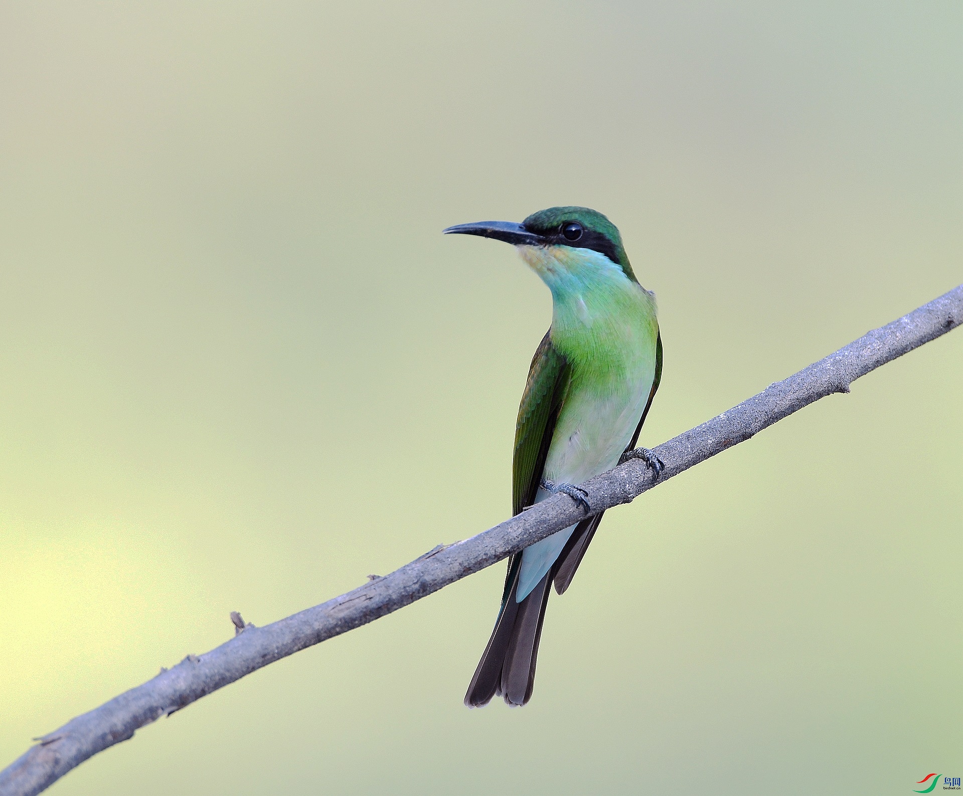 DSC_1831.jpg