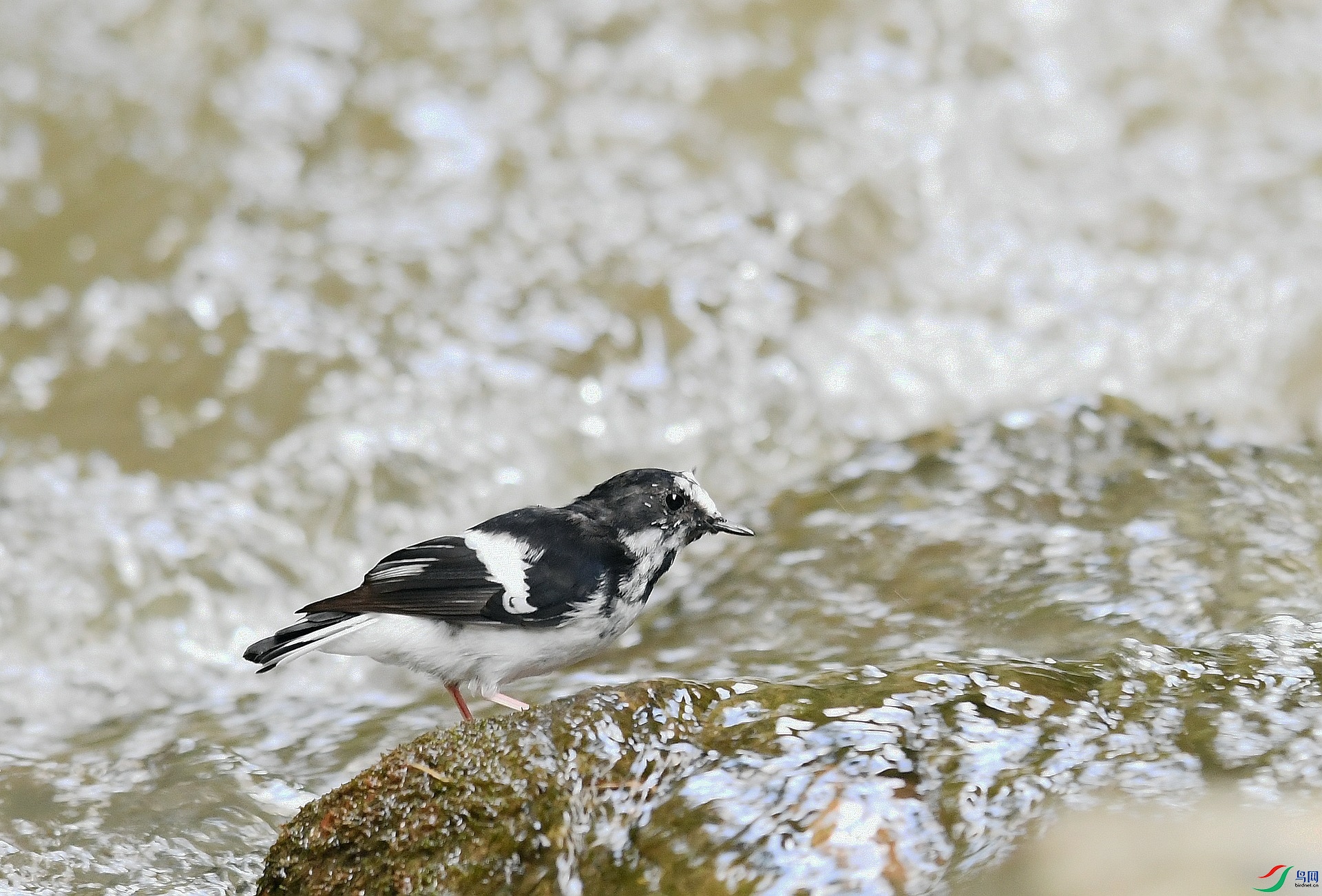 DSC_2103.jpg