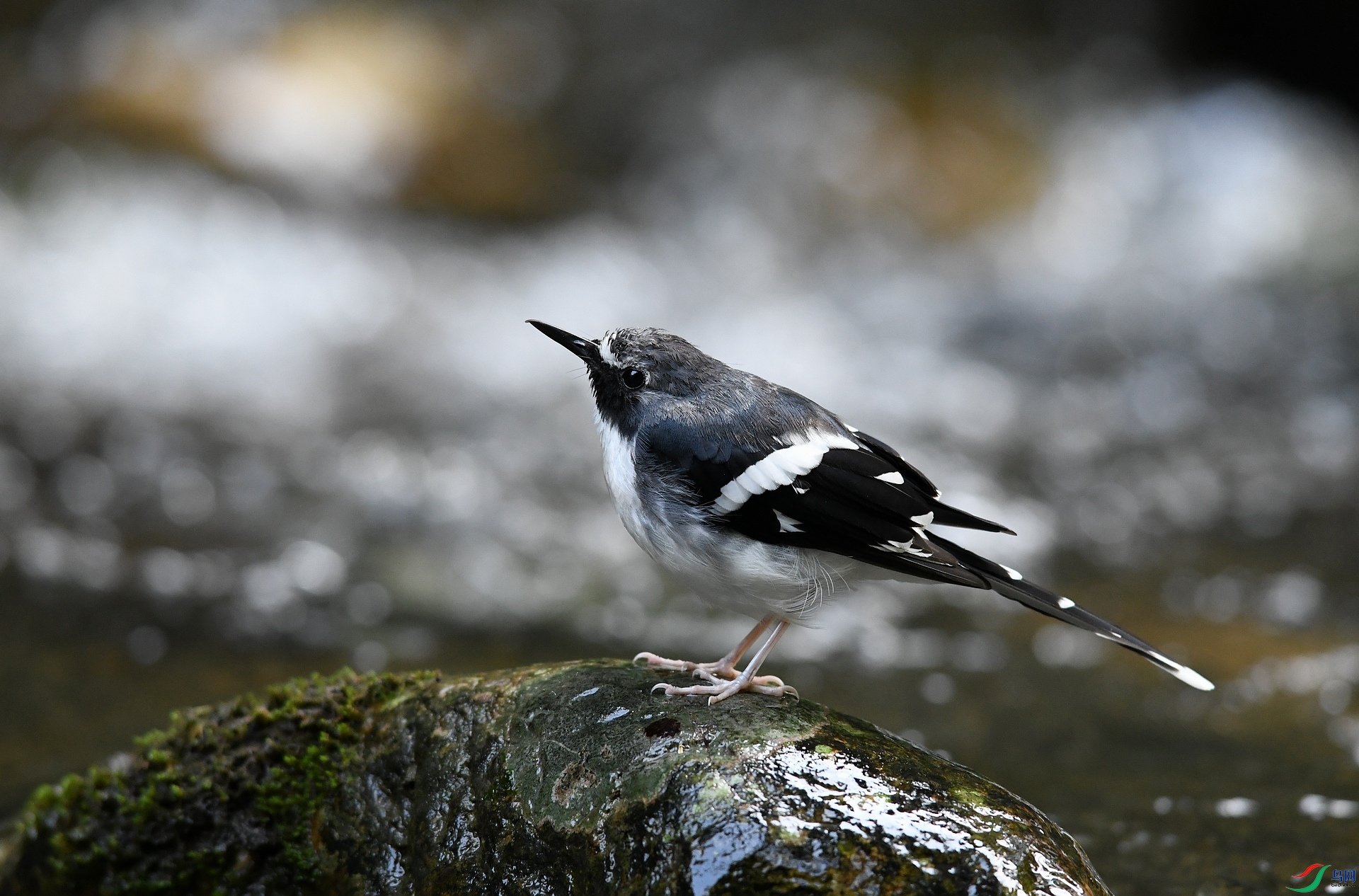 DSC_7948.jpg