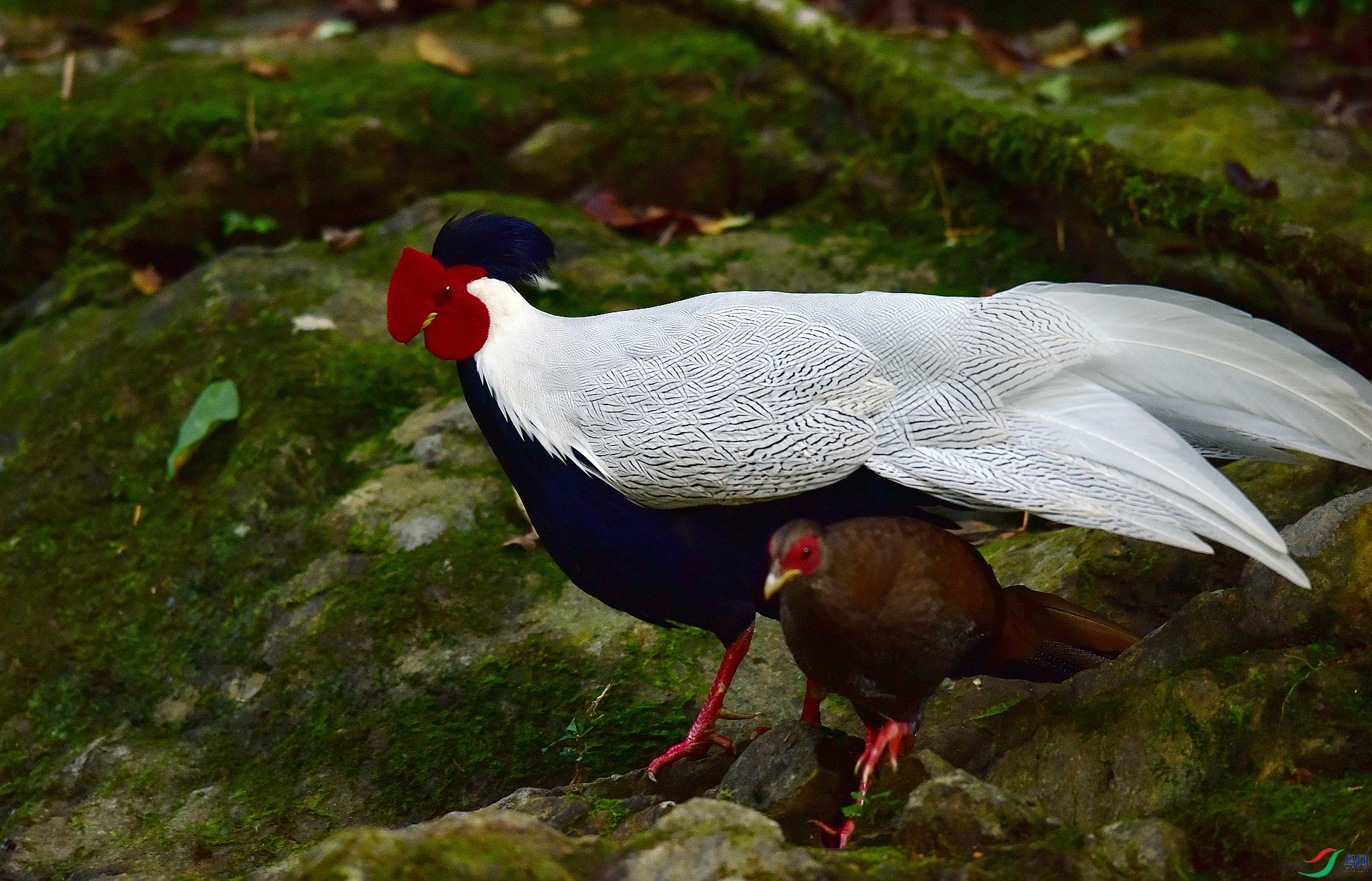 D8I_0497.jpg