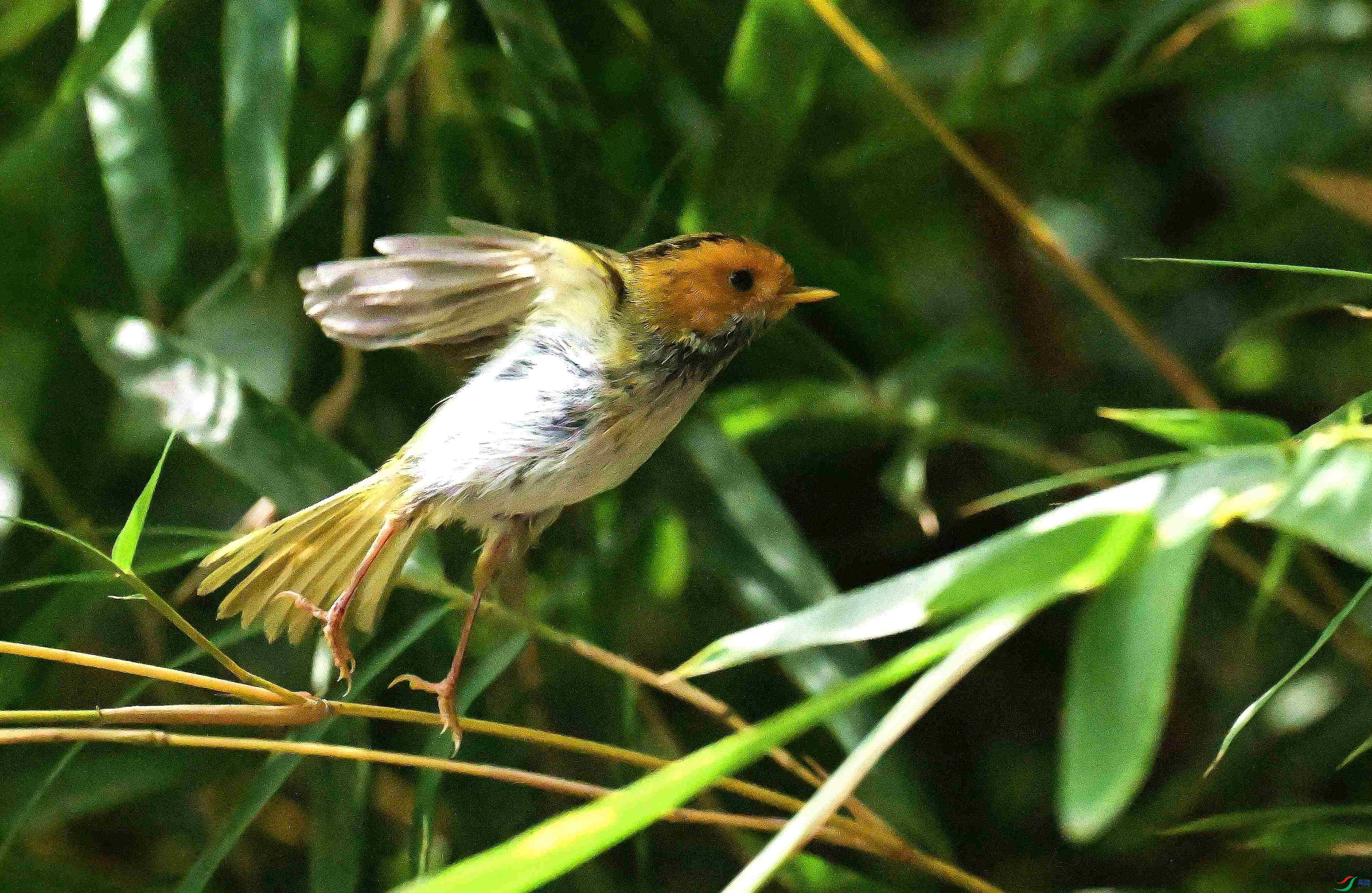 DSC_7037_����.jpg