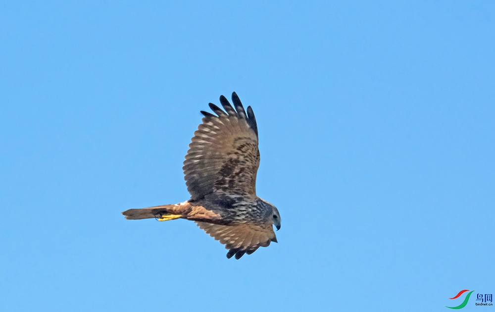 DSCF1032.1.jpg