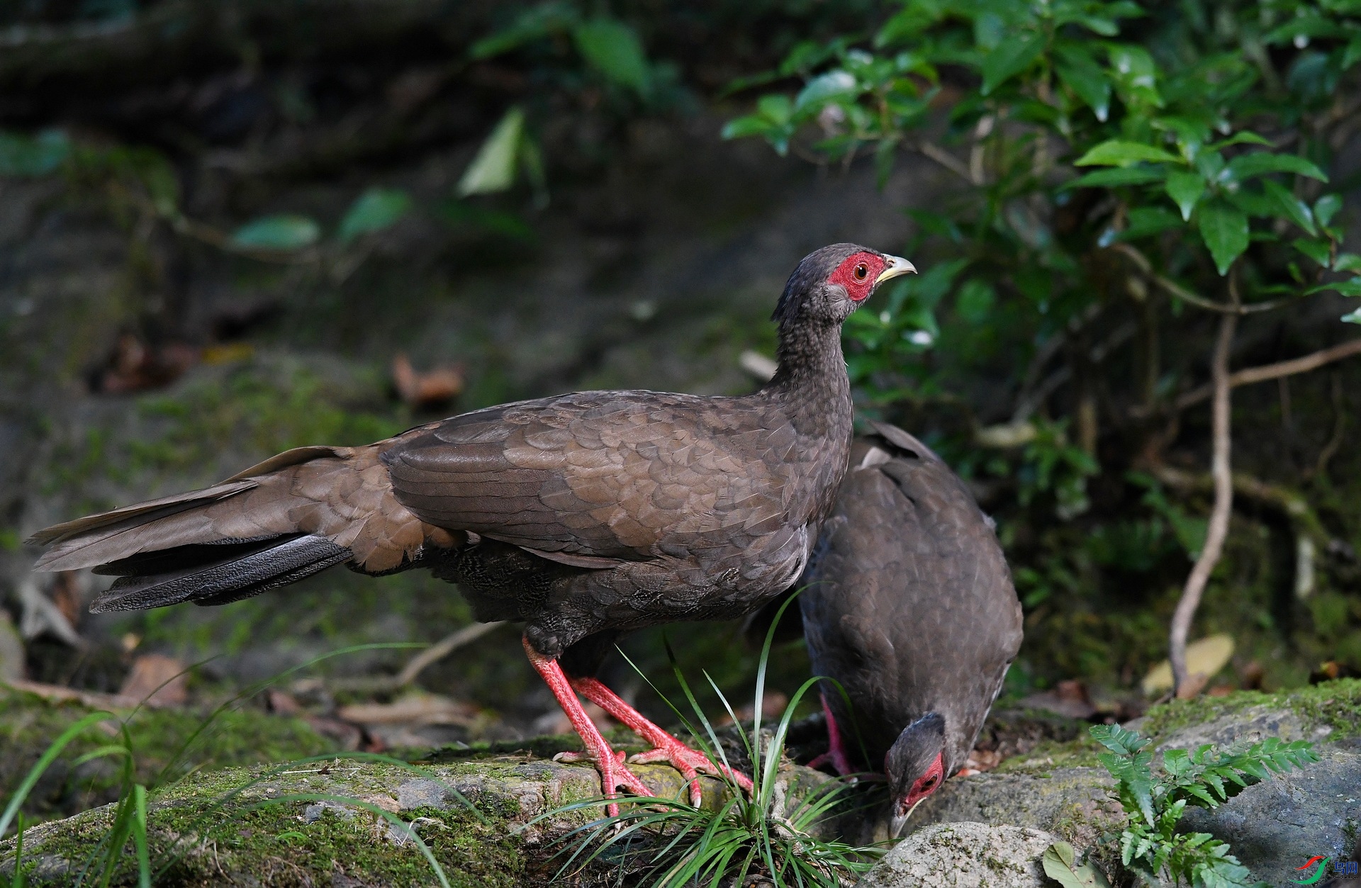 DSC_2135.jpg