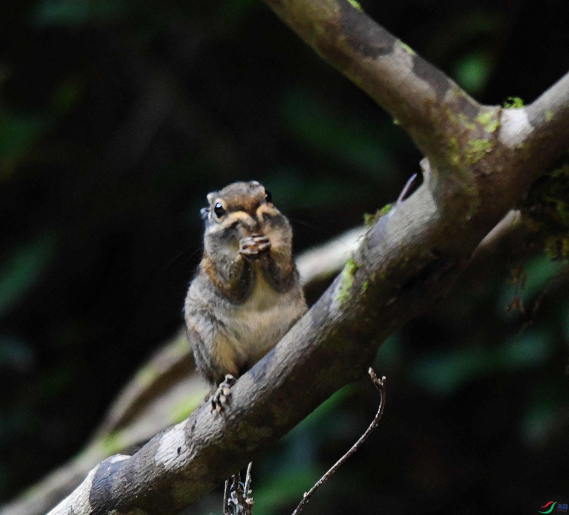 DSC_2250.jpg