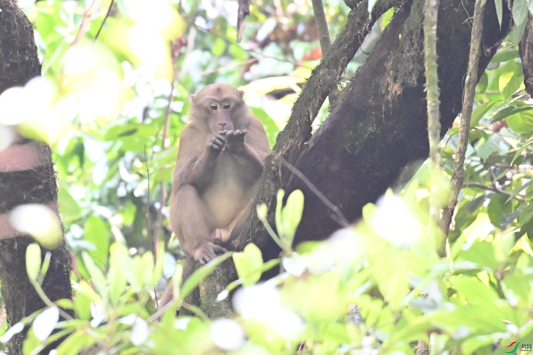 DSC_6551.JPG