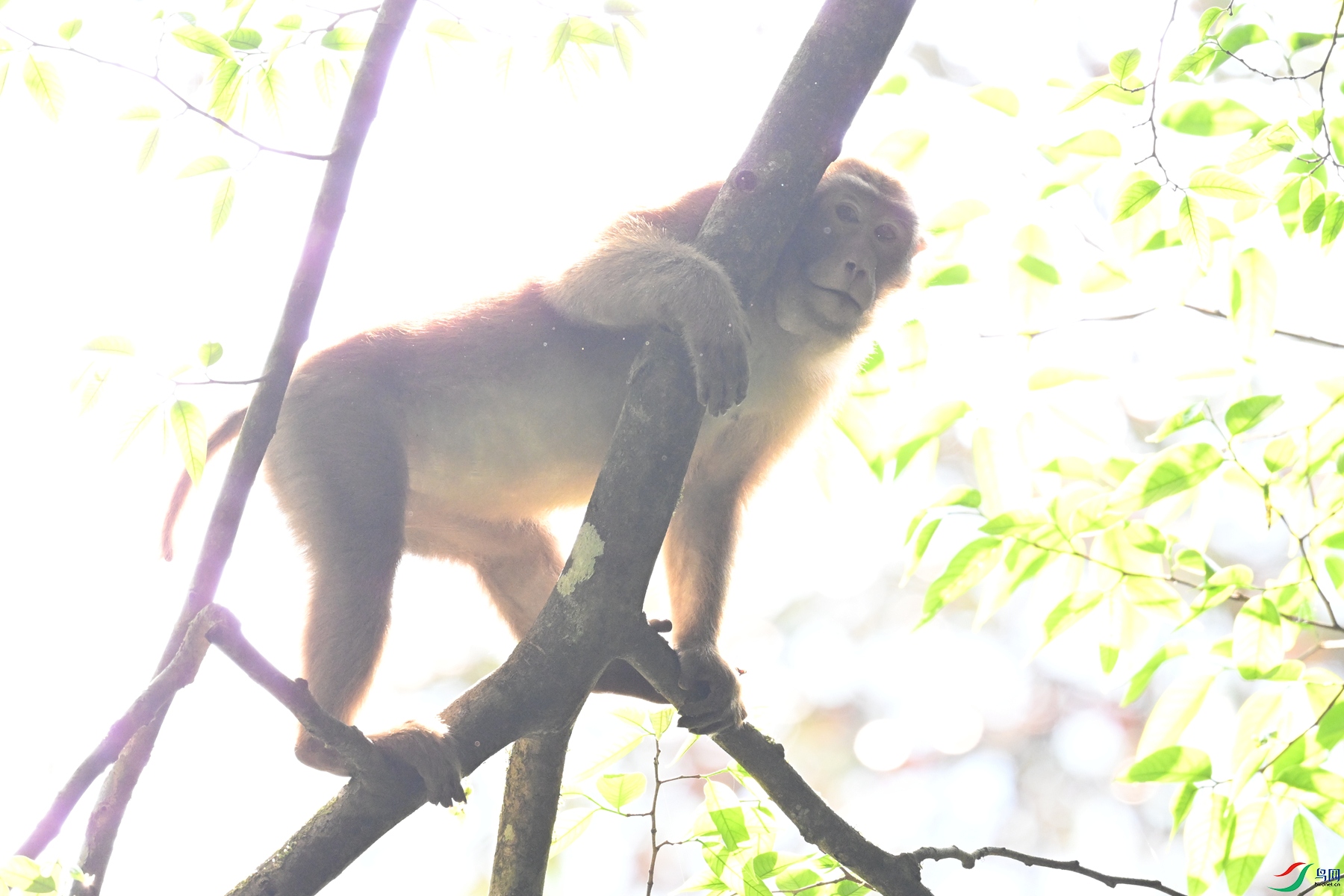 DSC_6521.JPG