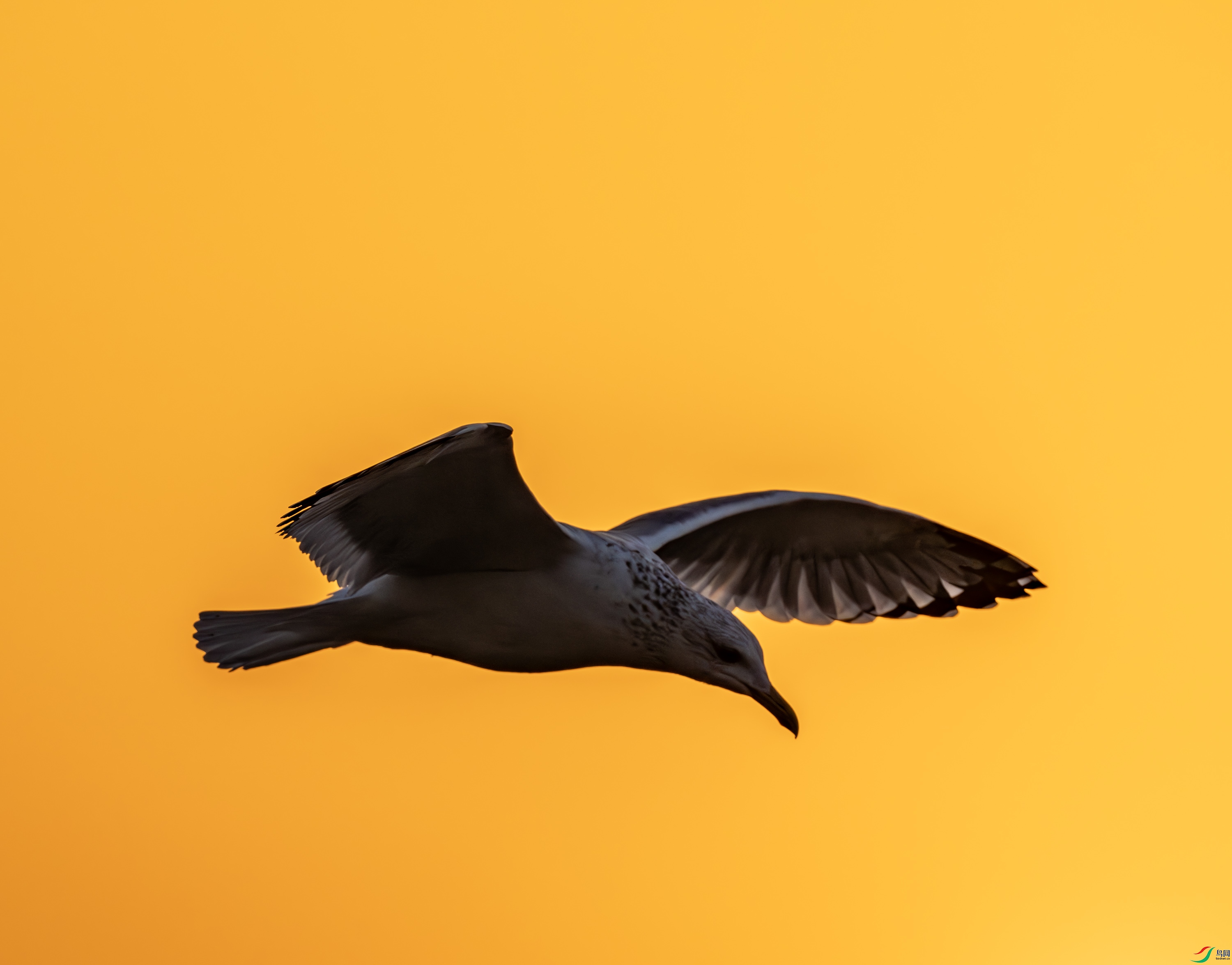 ����������Ÿ-03-20.jpg