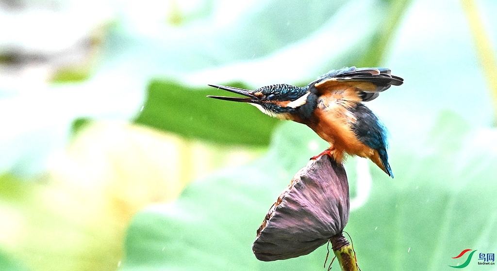 DSC_4066.JPG