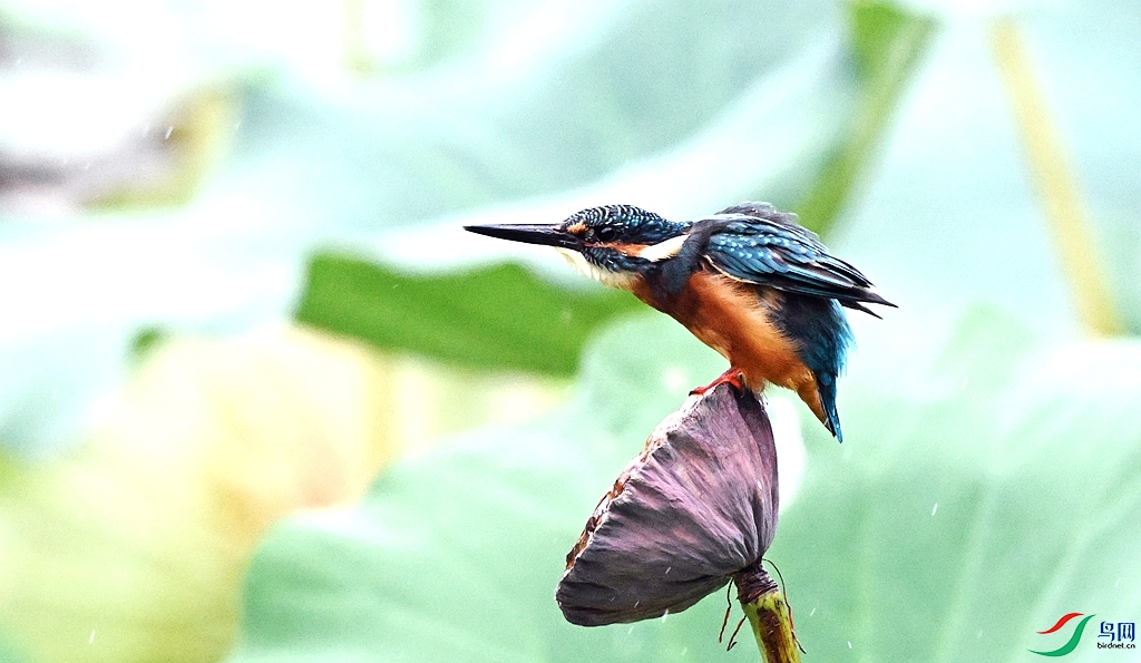 DSC_4049.JPG