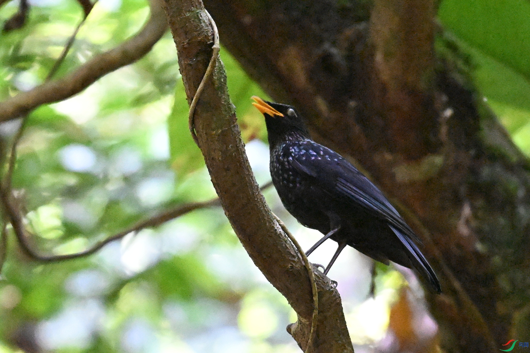 DSC_6579.JPG