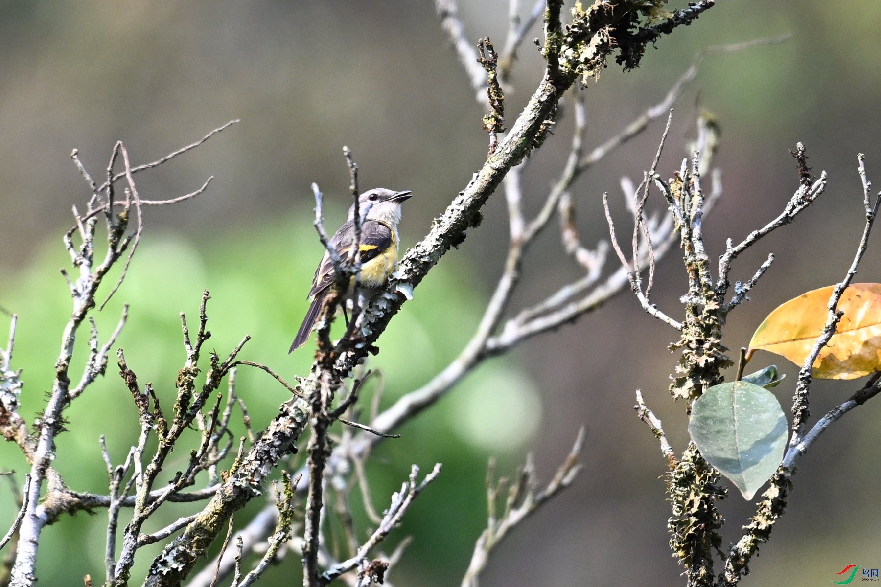 DSC_6612.JPG