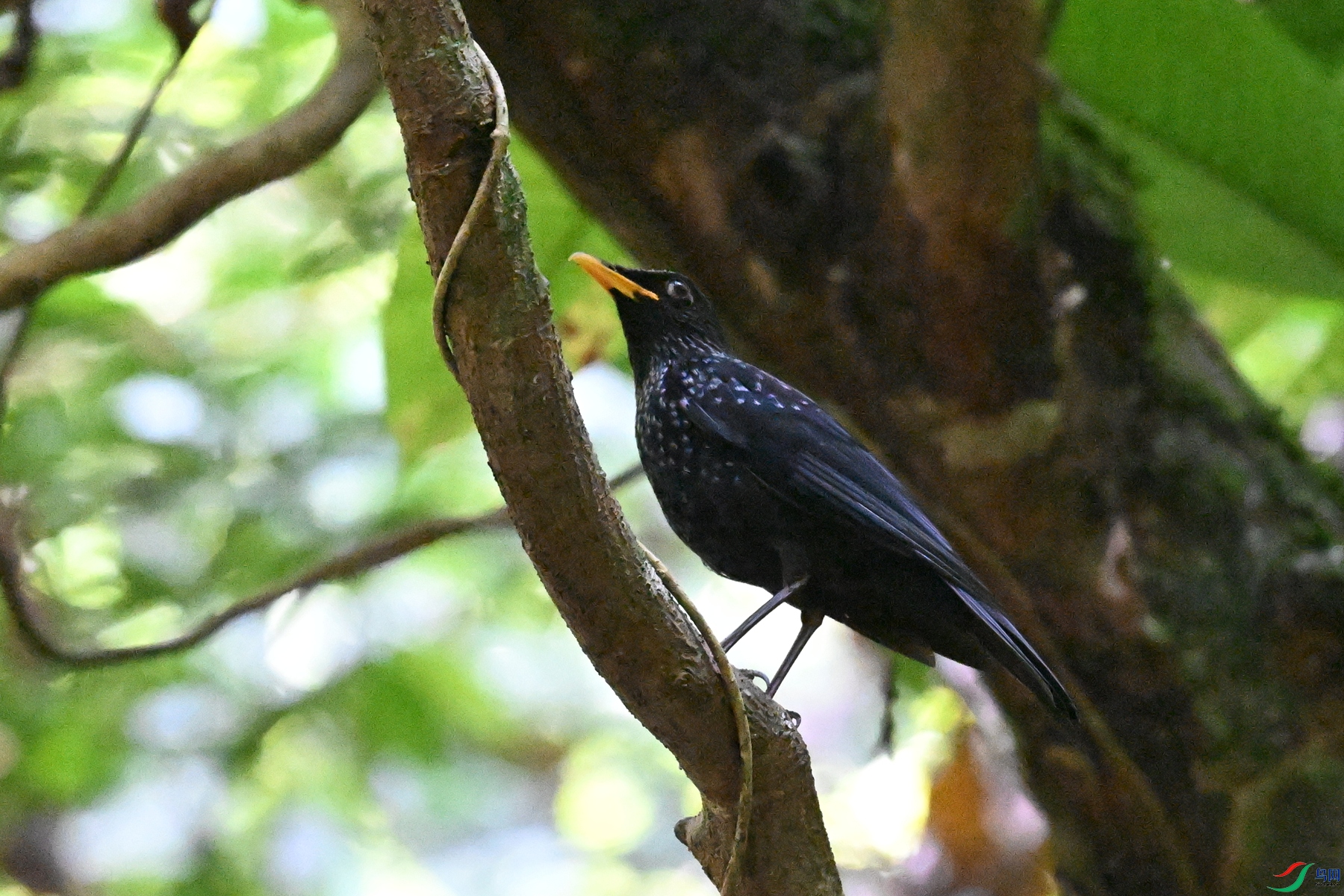 DSC_6580.JPG