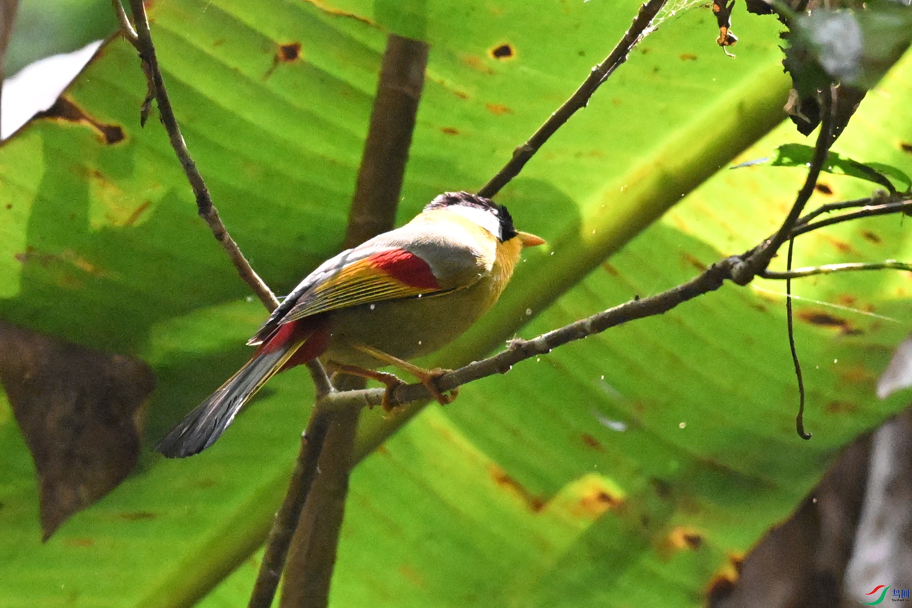DSC_6586.JPG