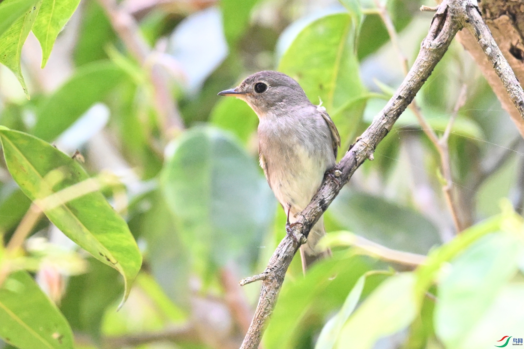 DSC_6607.JPG